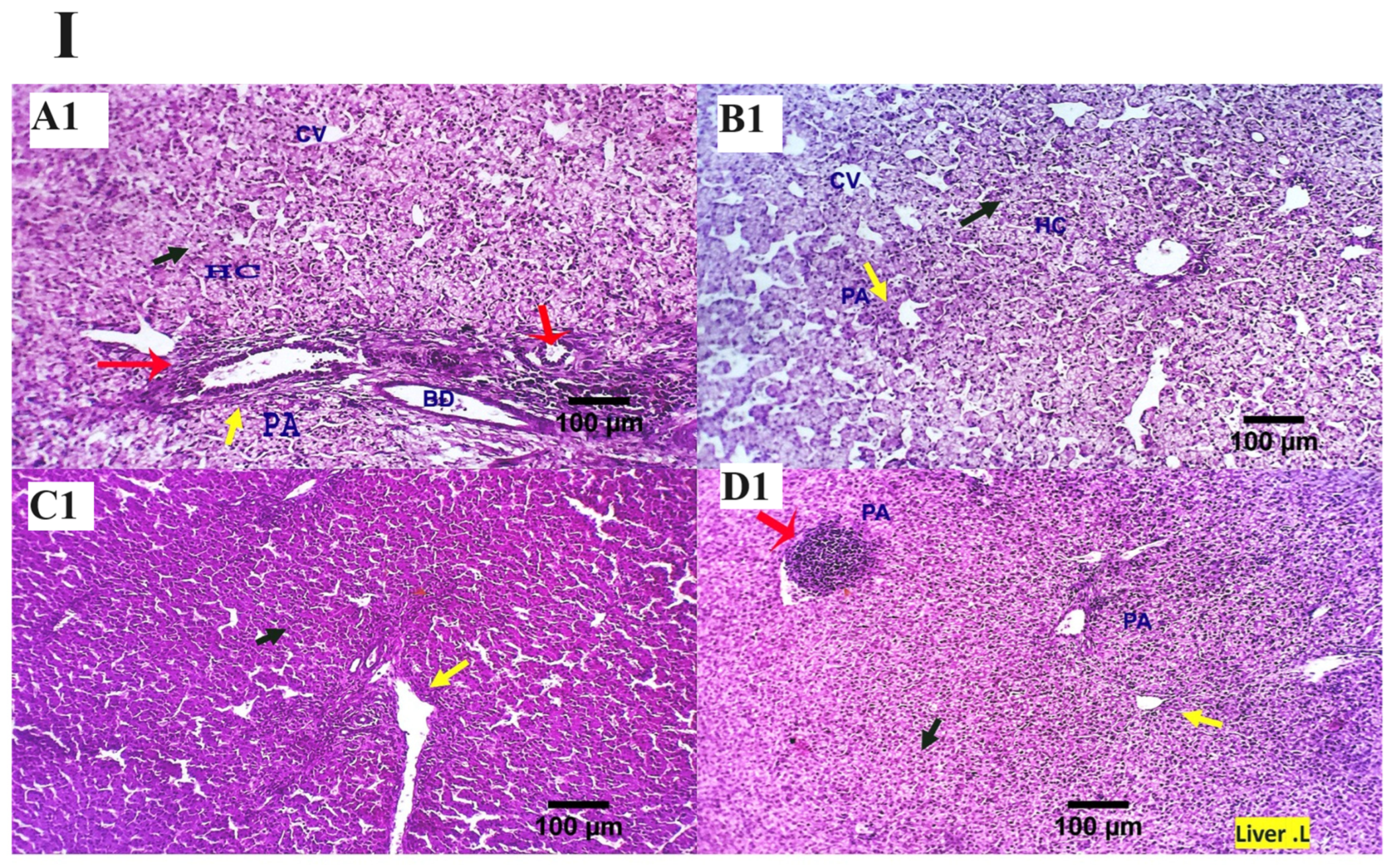 Animals 13 03862 g001a Animals 13 03862 g001a