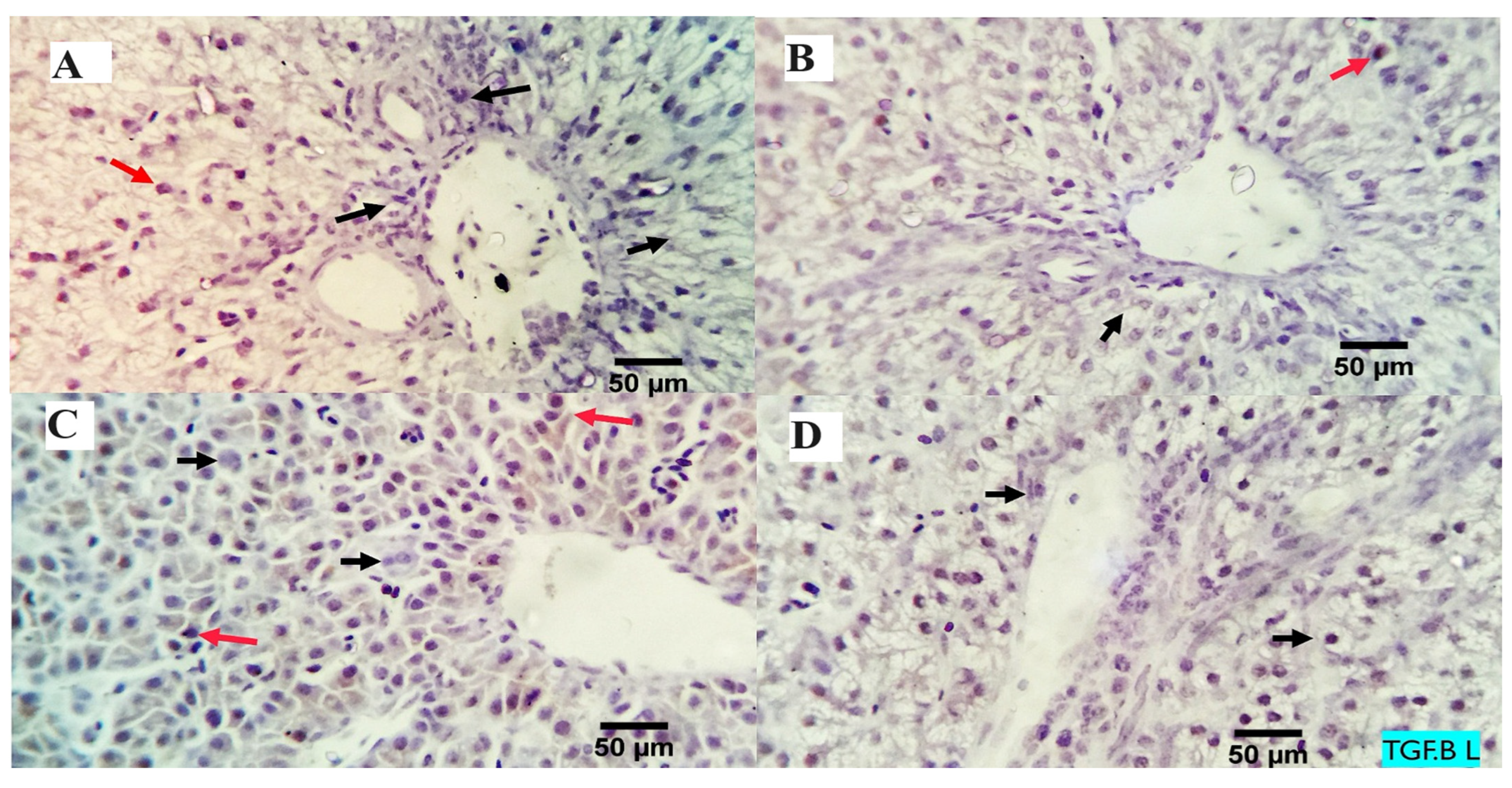 Animals 13 03862 g003 Animals 13 03862 g003