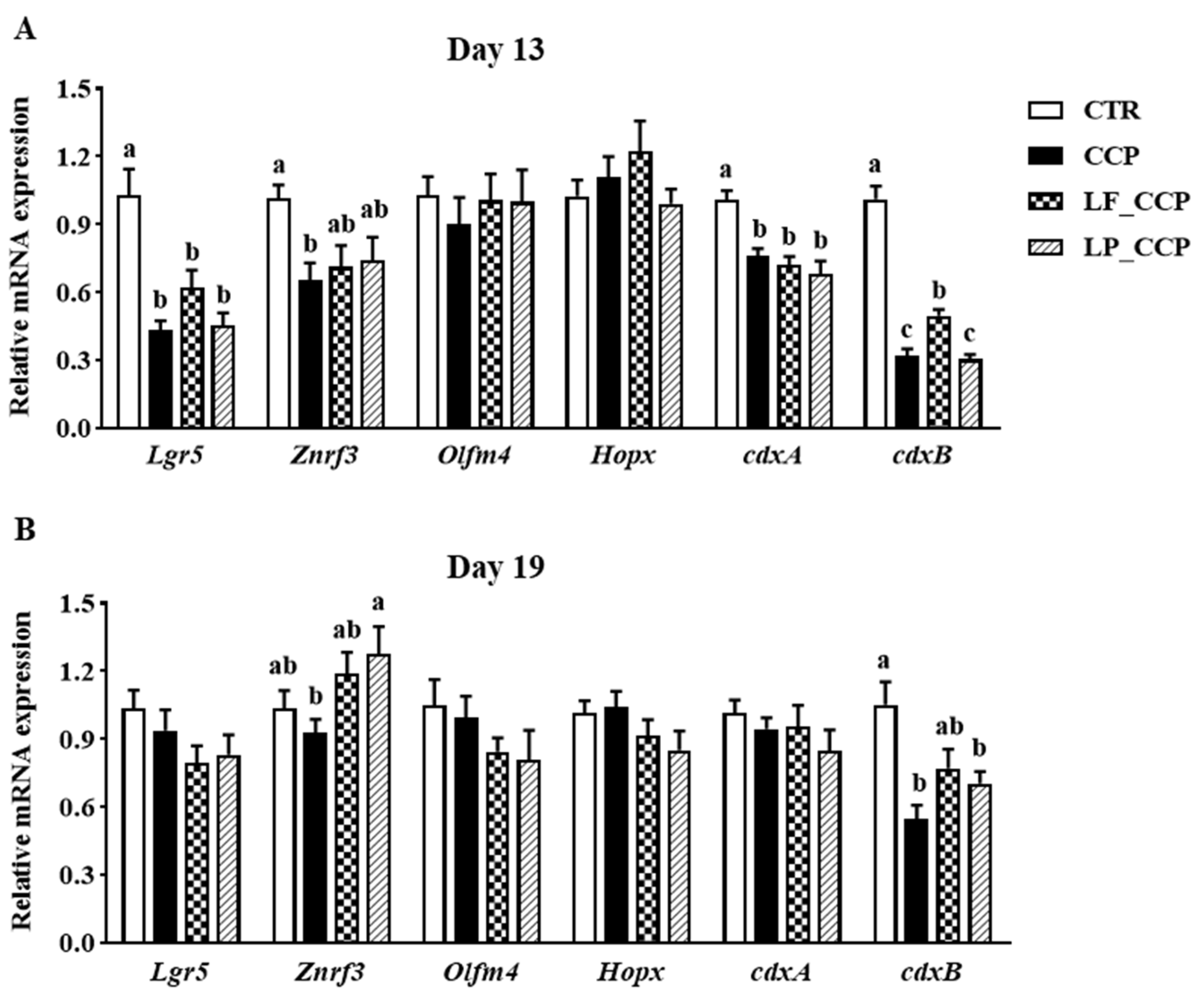 Animals 13 03864 g001