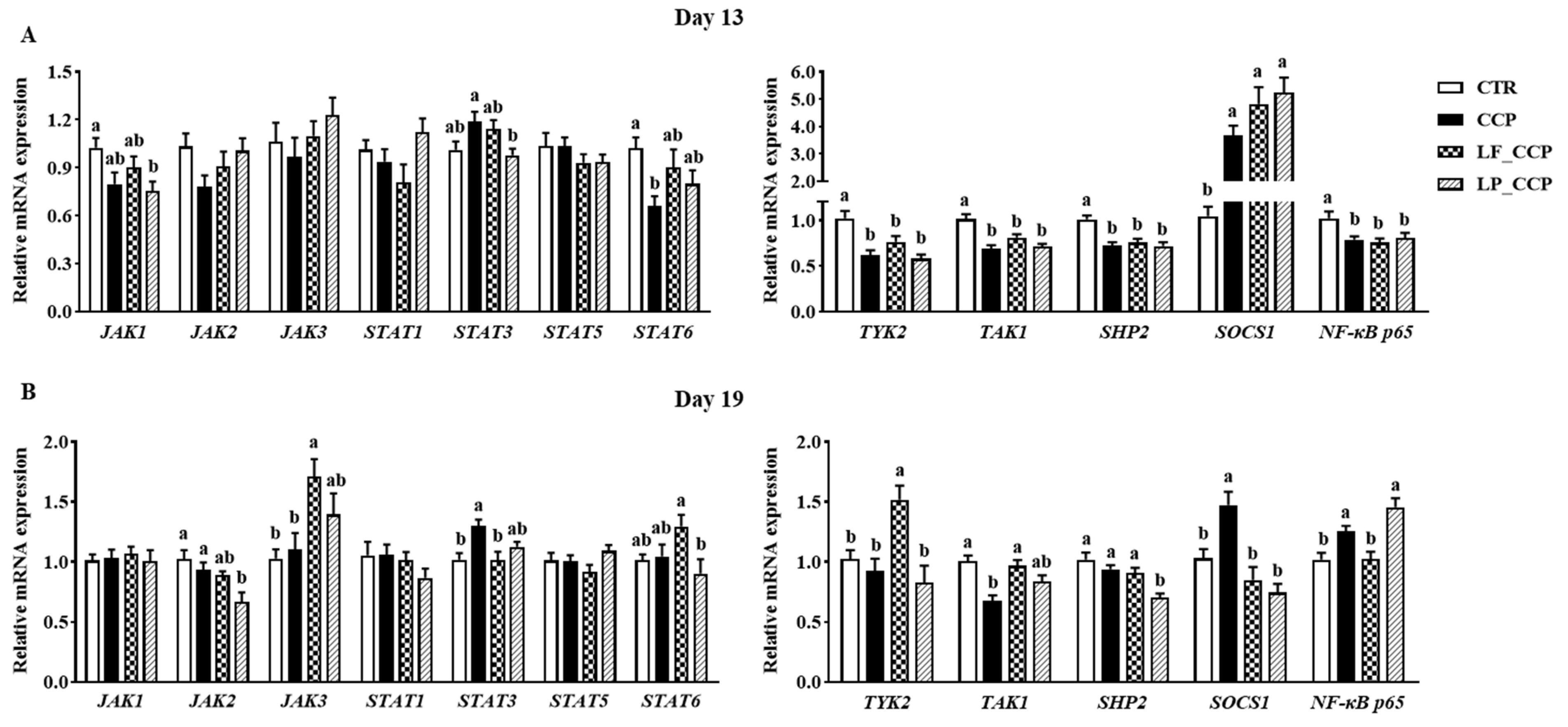 Animals 13 03864 g005