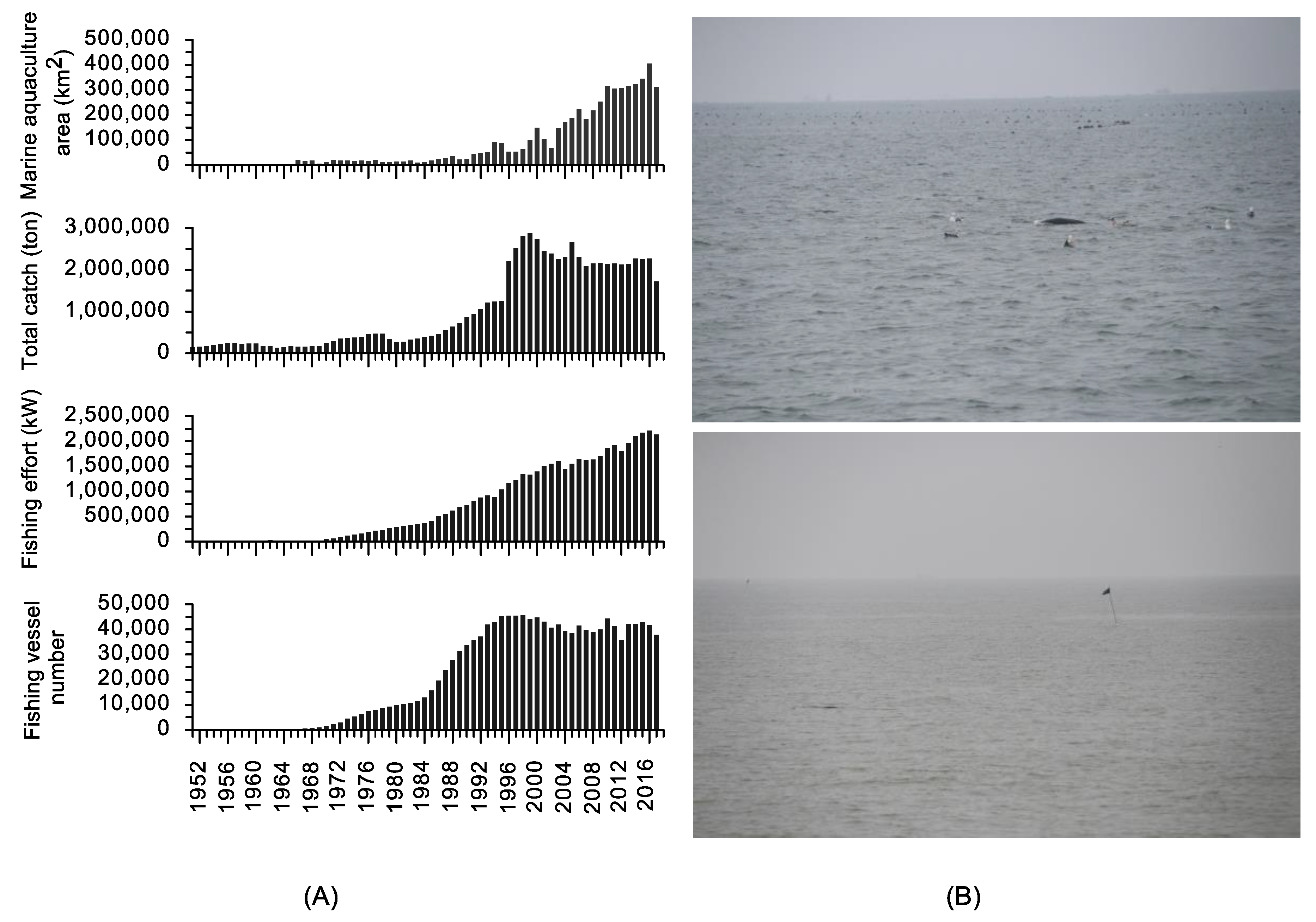 Animals 13 03868 g006