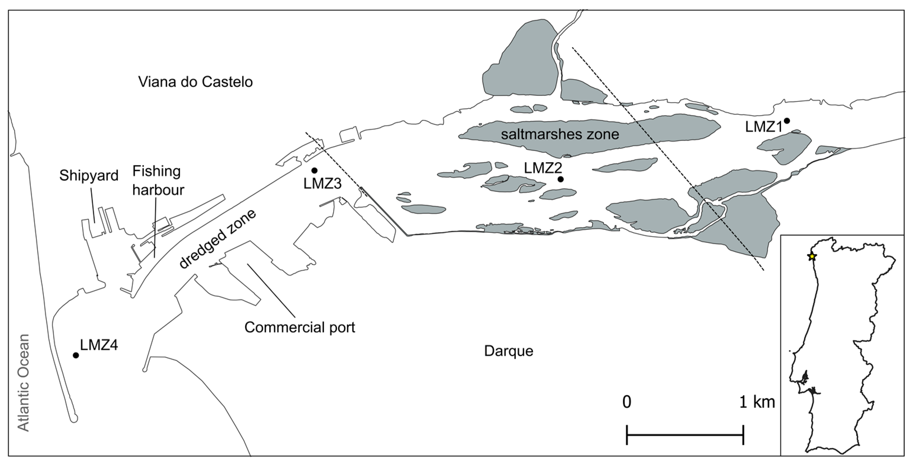 Animals 13 03876 g001