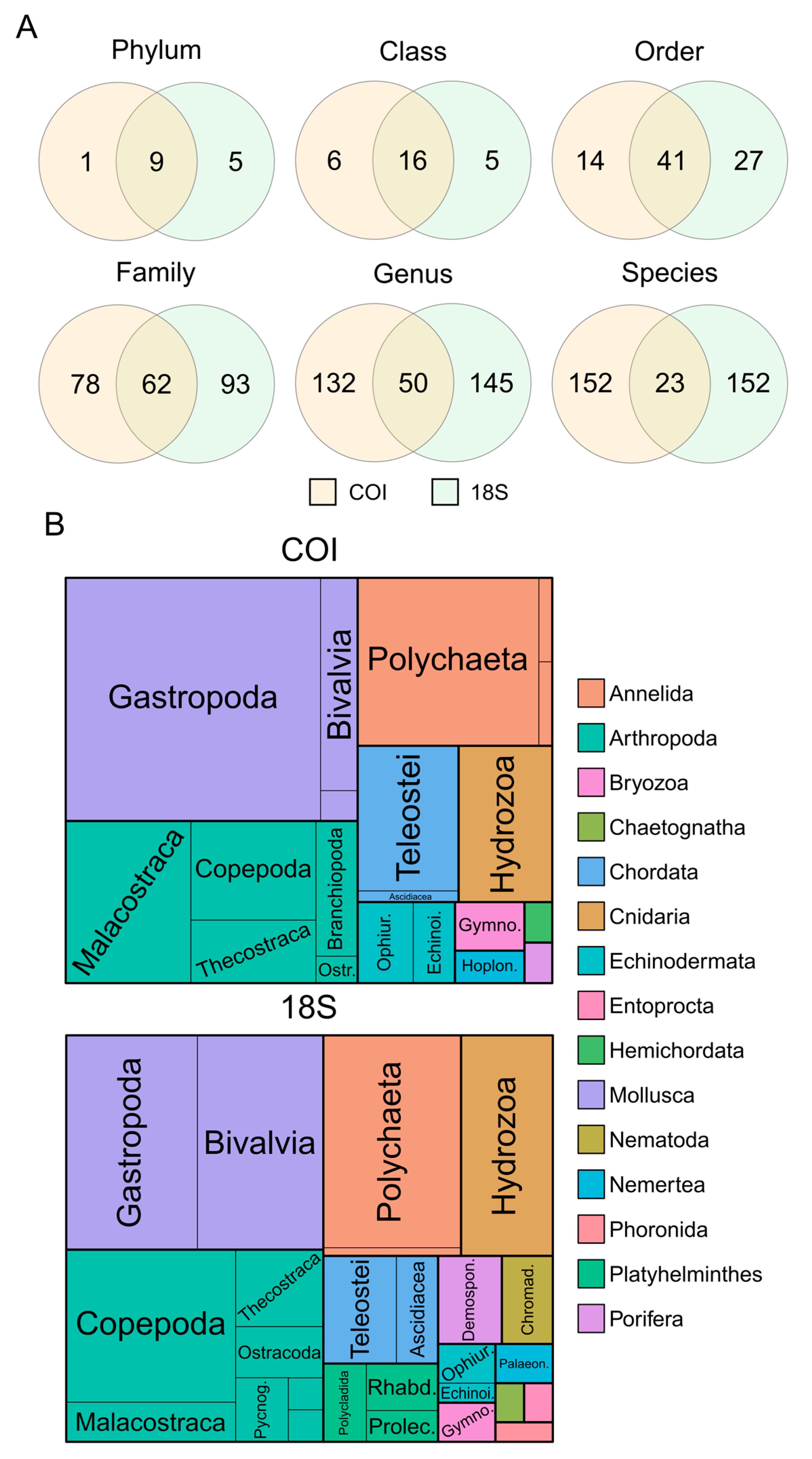 Animals 13 03876 g002