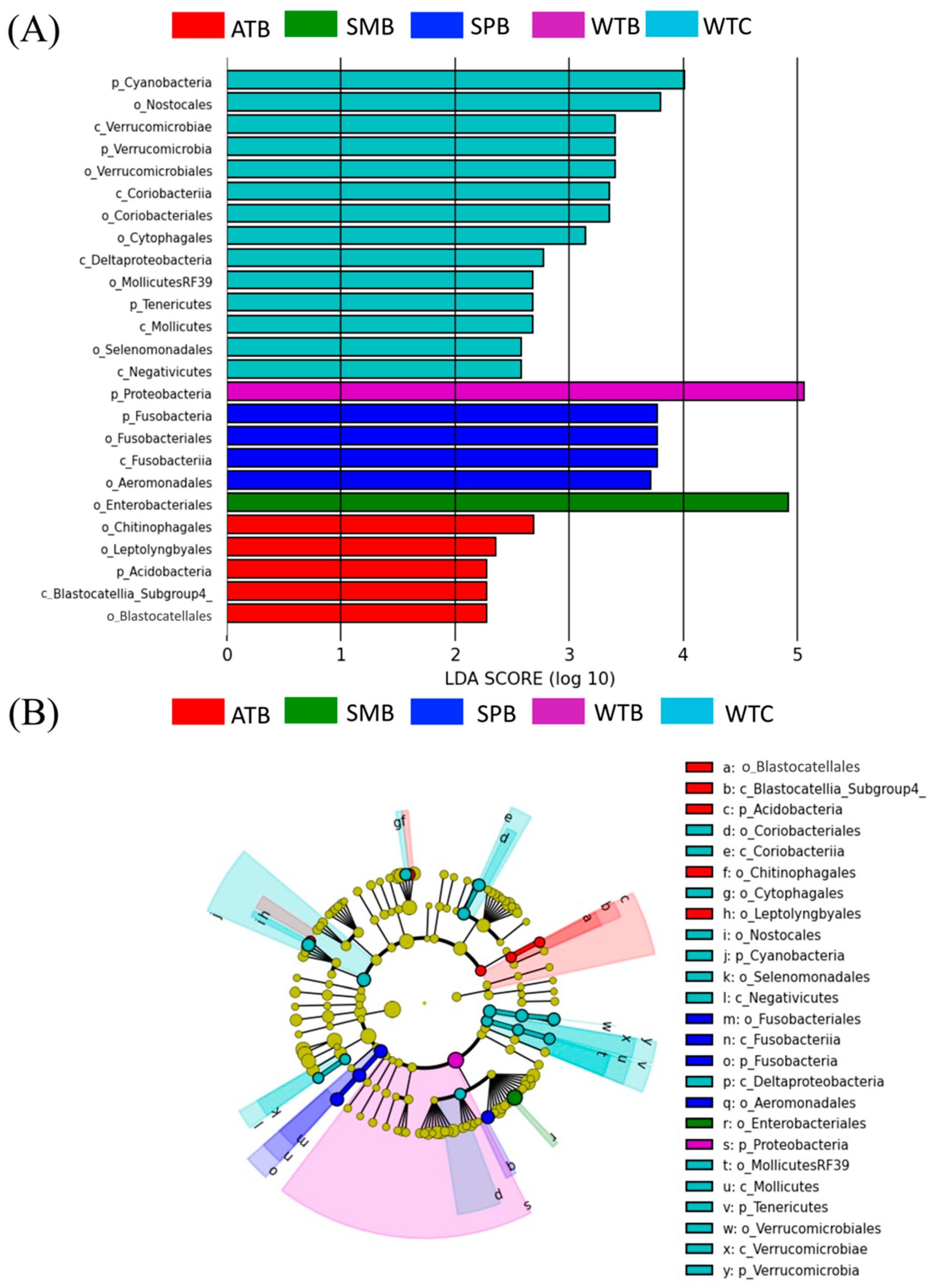 Animals 13 03879 g004