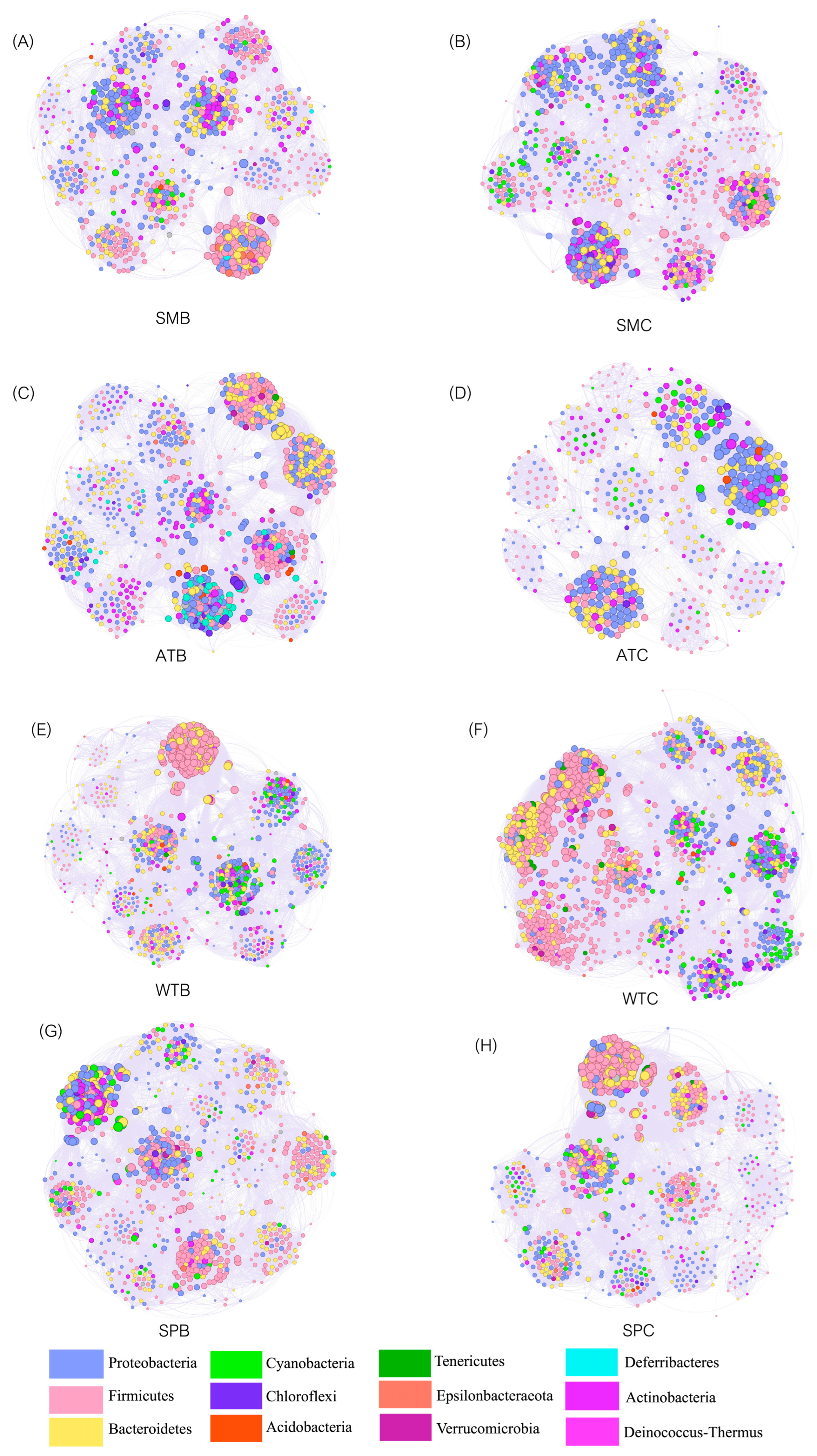 Animals 13 03879 g006