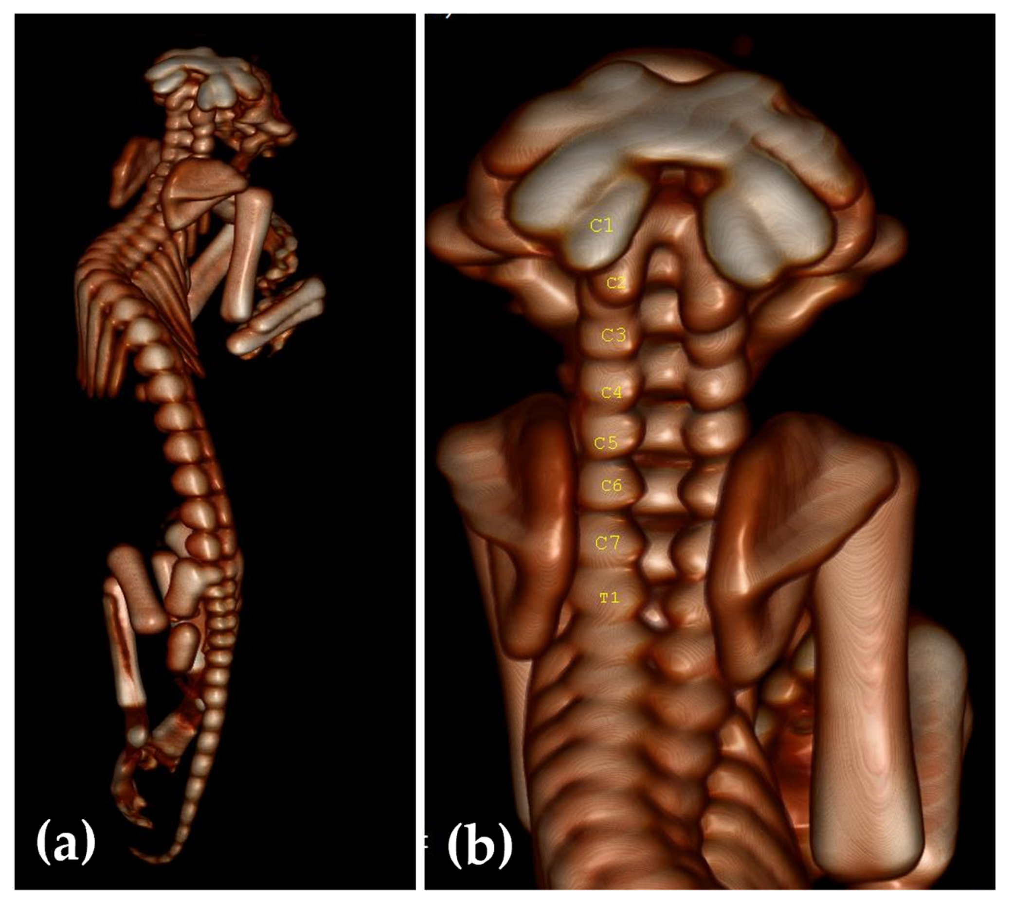 Animals 13 03882 g005