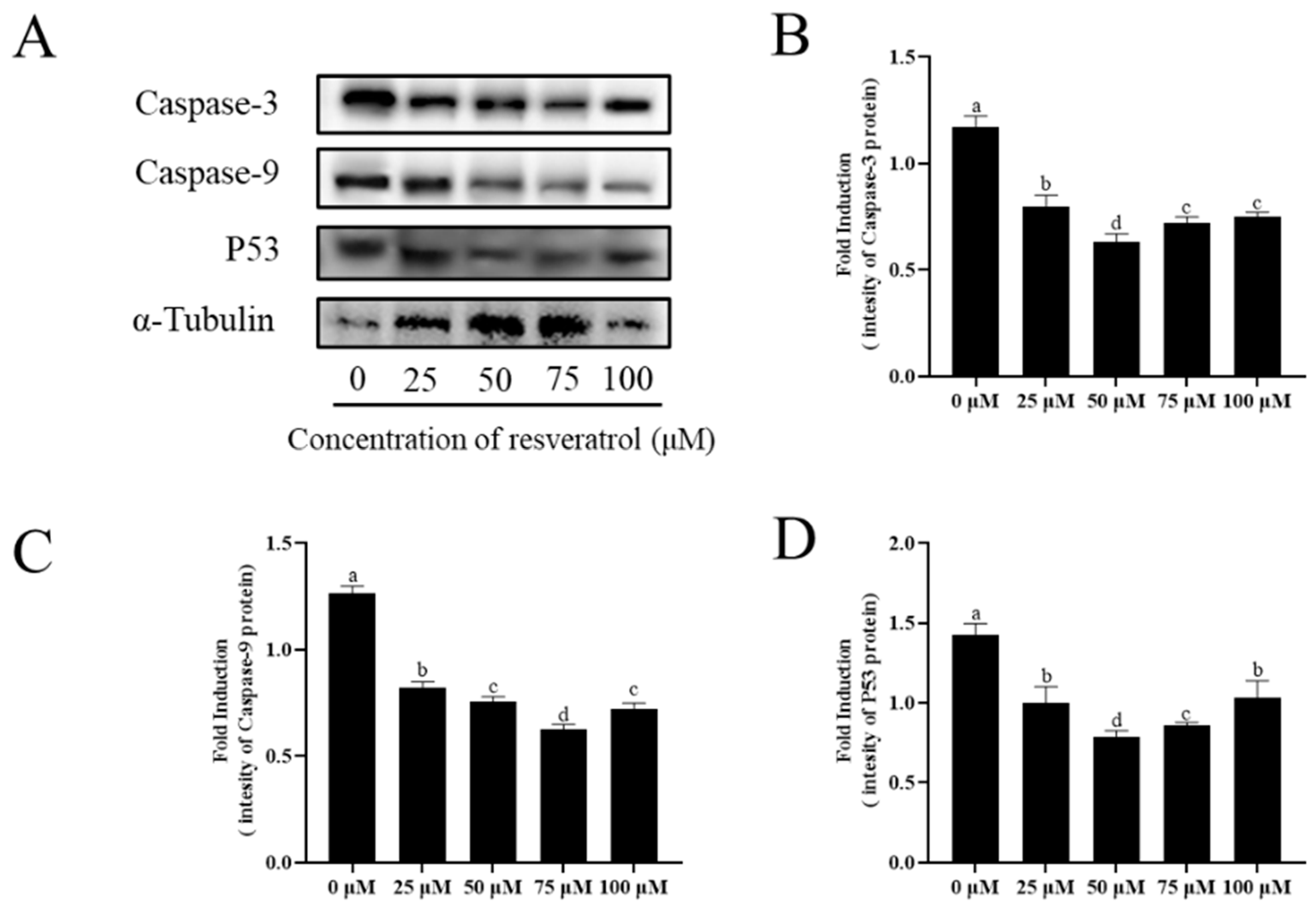 Animals 13 03887 g009