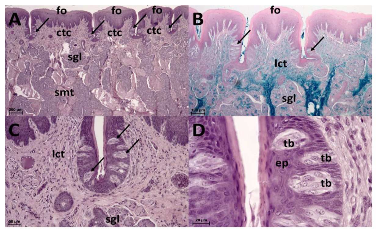 Animals 13 03889 g005