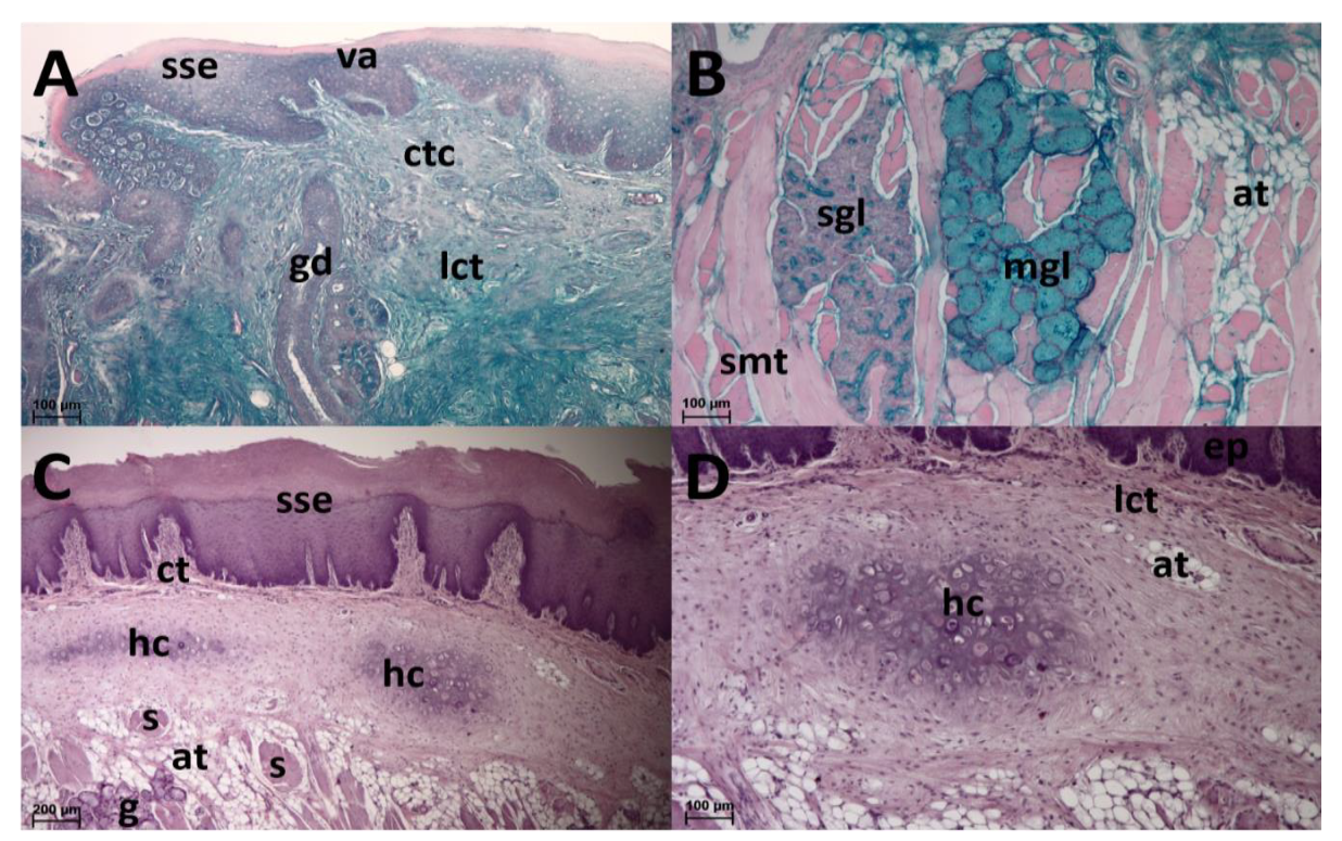 Animals 13 03889 g006