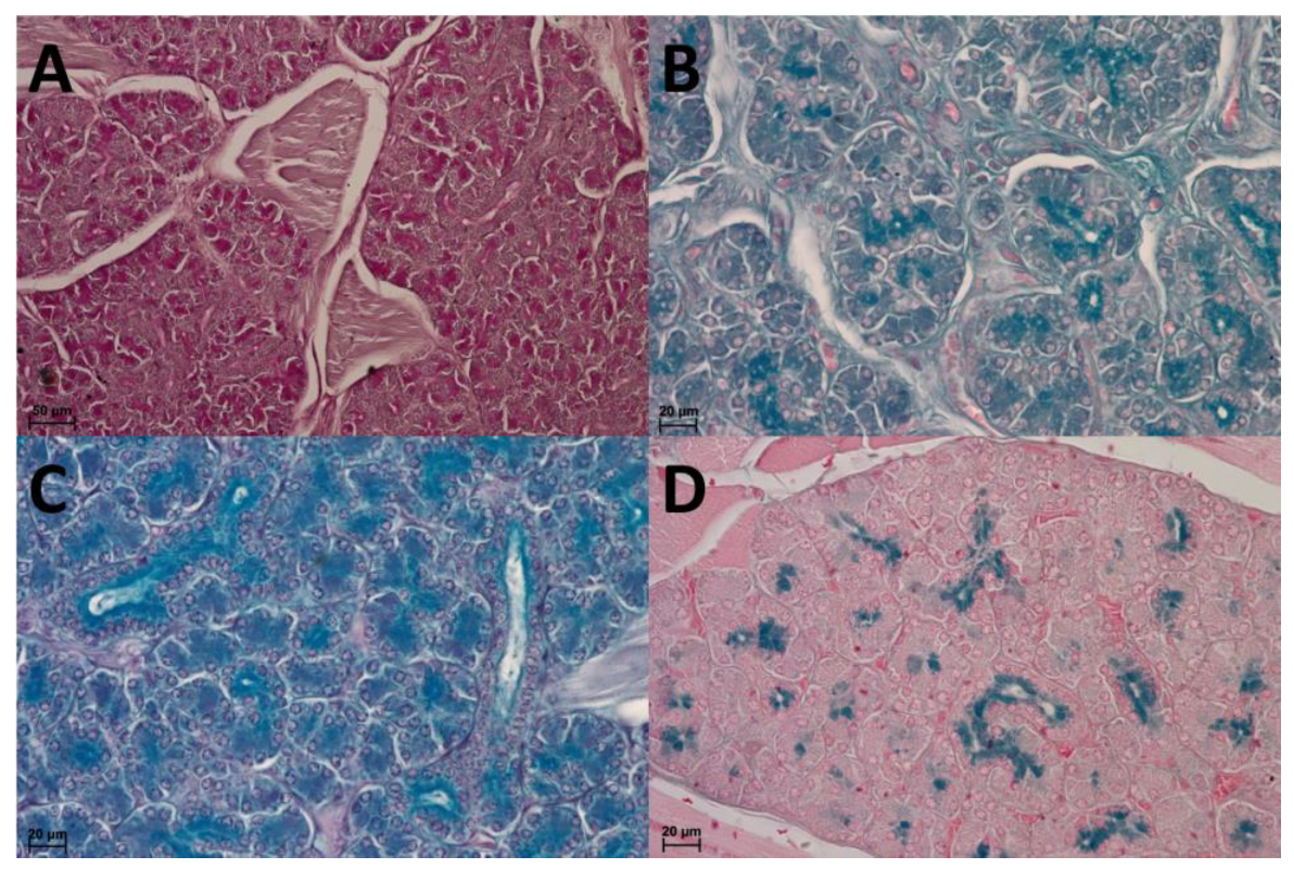 Animals 13 03889 g007