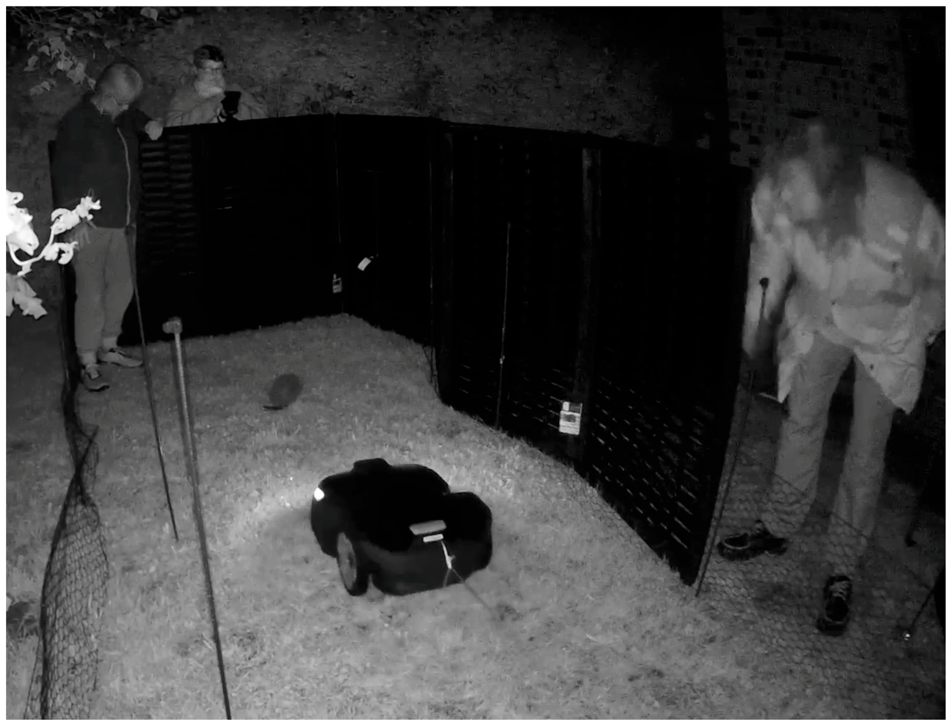 Animals 14 00002 g003