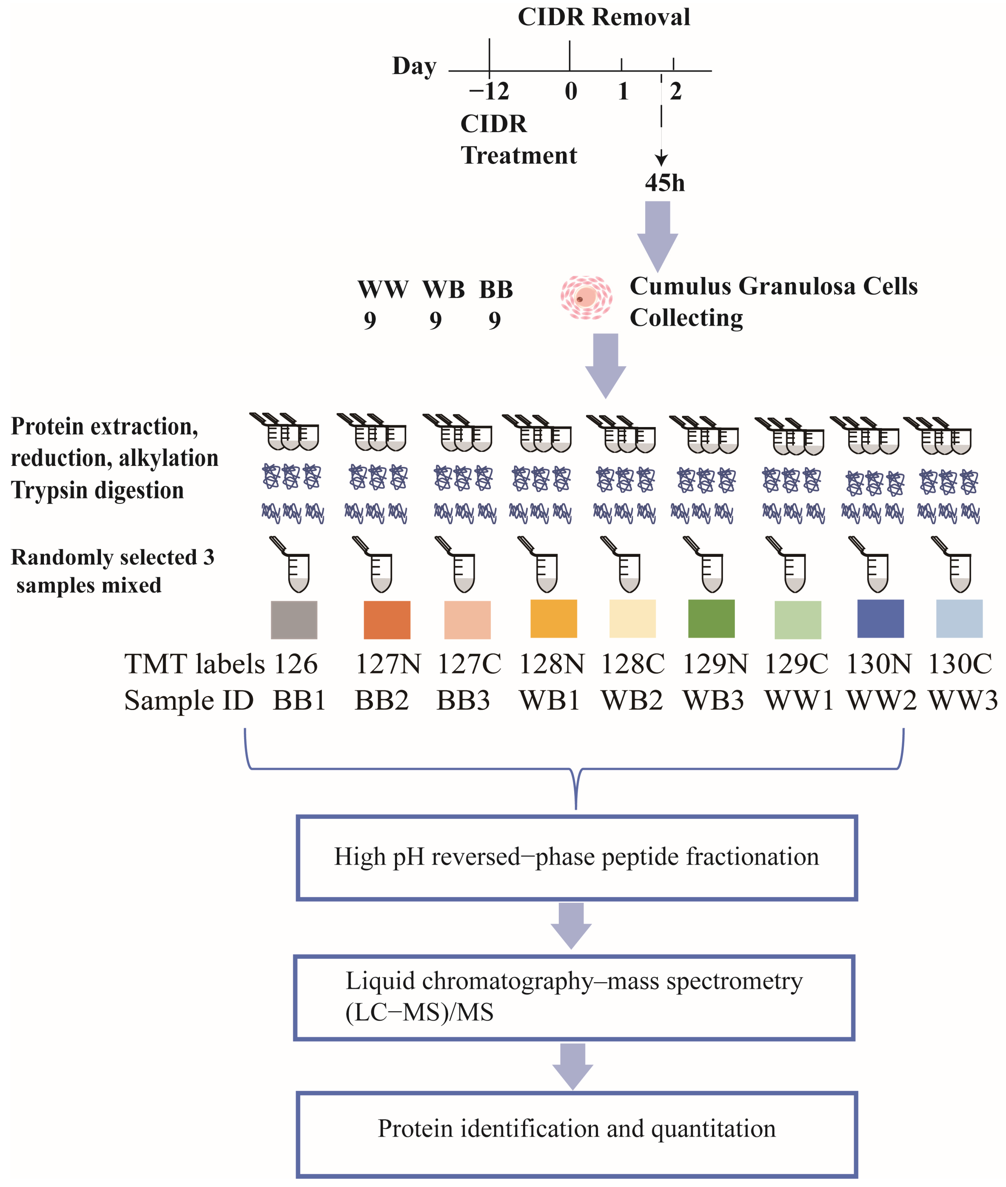 Animals 14 00011 g001 Animals 14 00011 g001