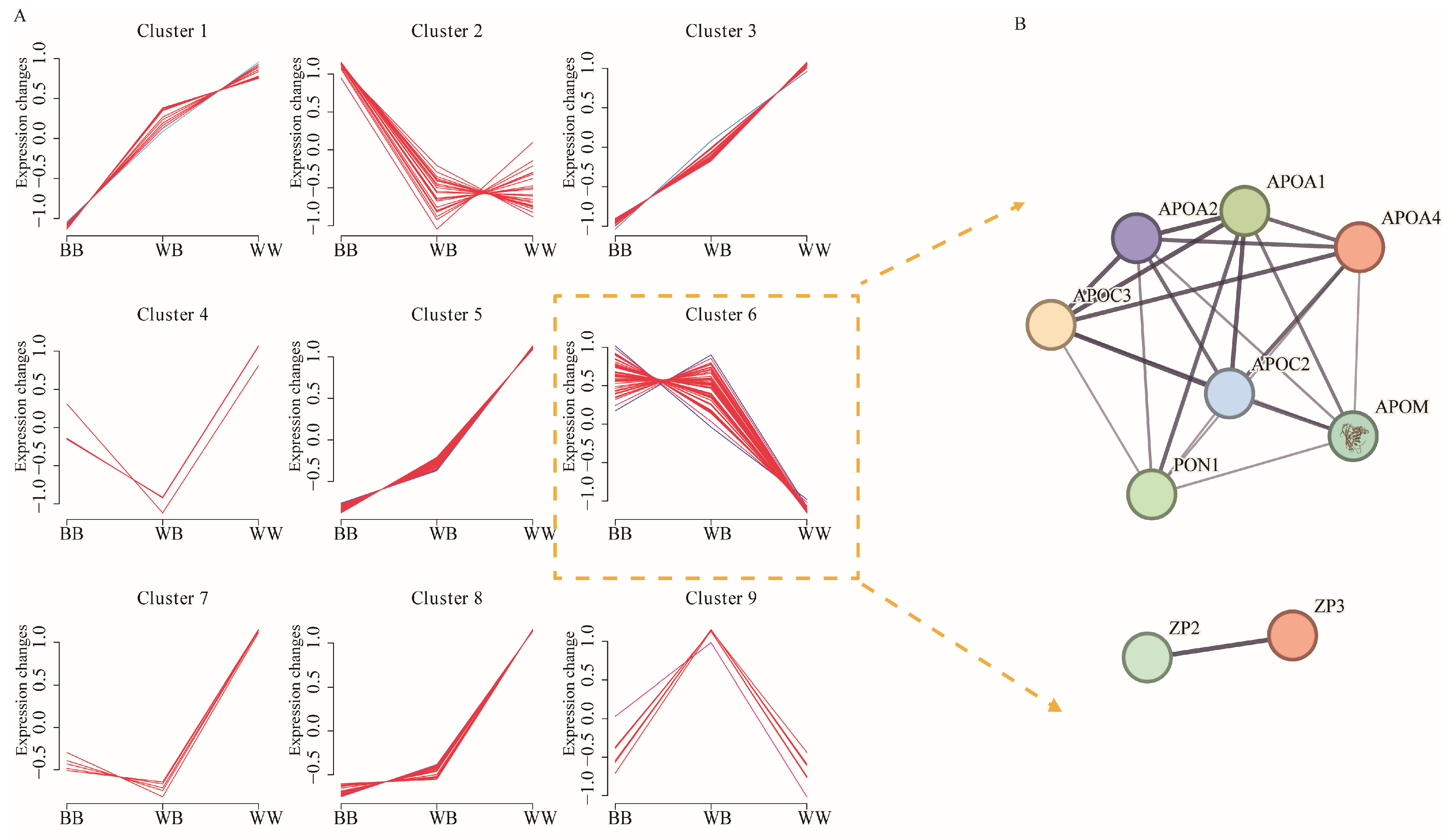 Animals 14 00011 g006 Animals 14 00011 g006