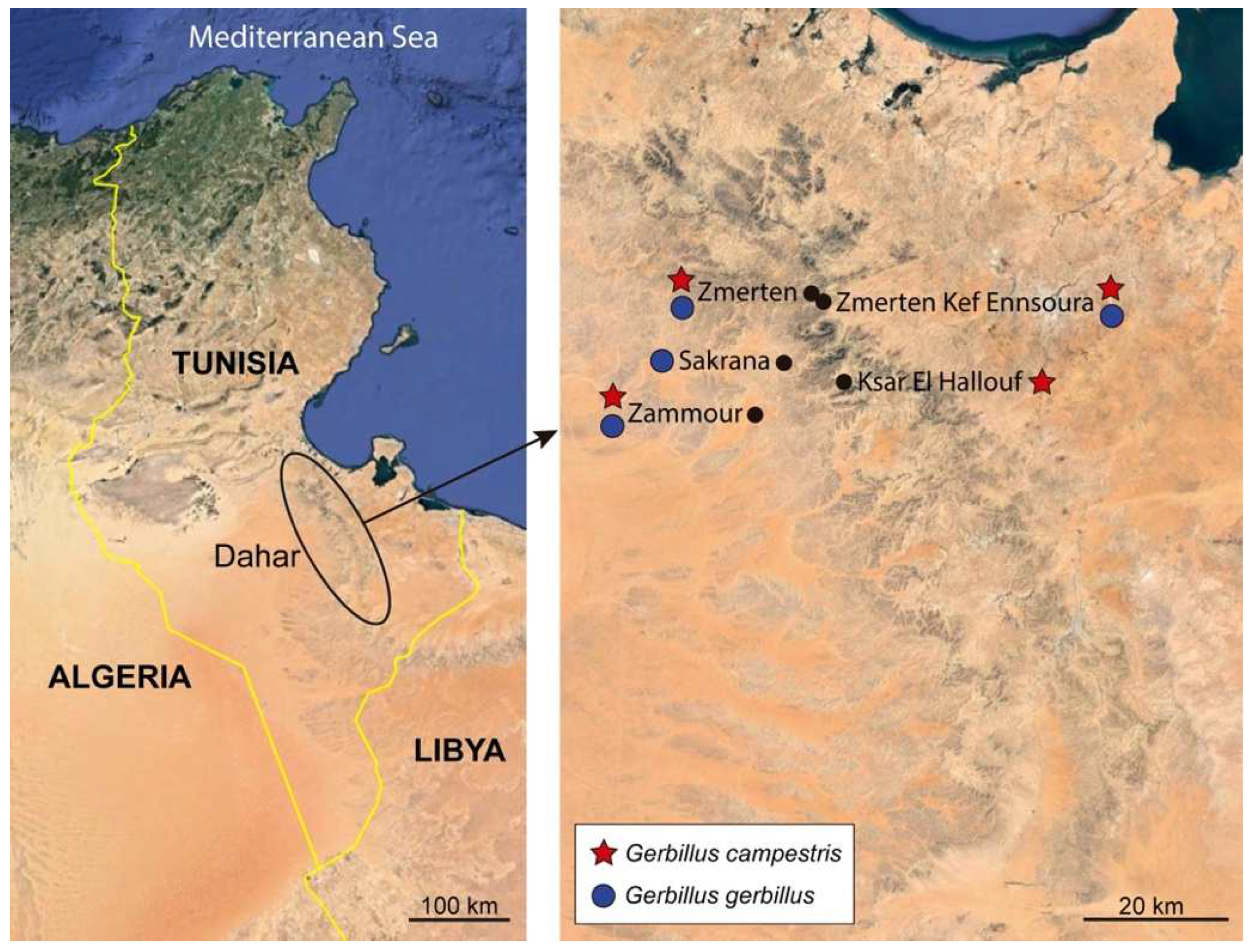 Animals 14 00012 g001 Animals 14 00012 g001