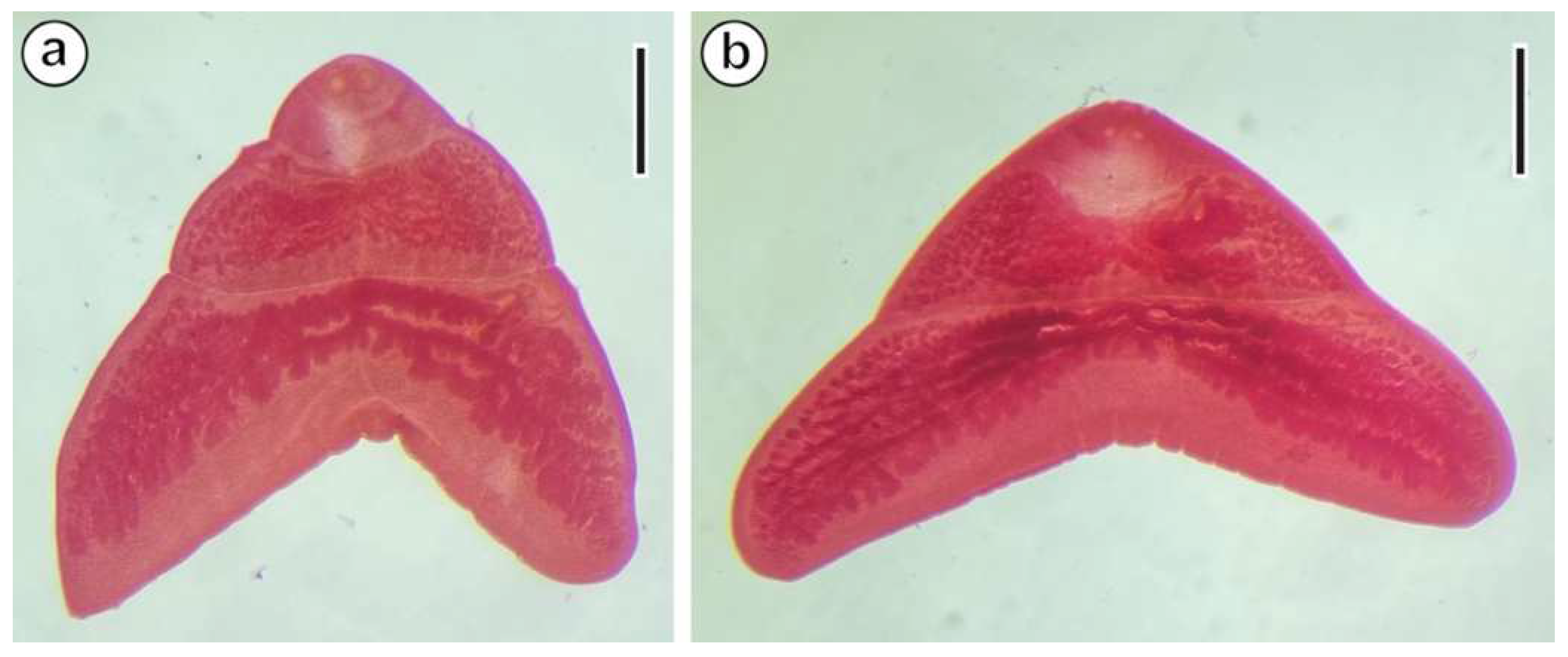 Animals 14 00012 g002 Animals 14 00012 g002