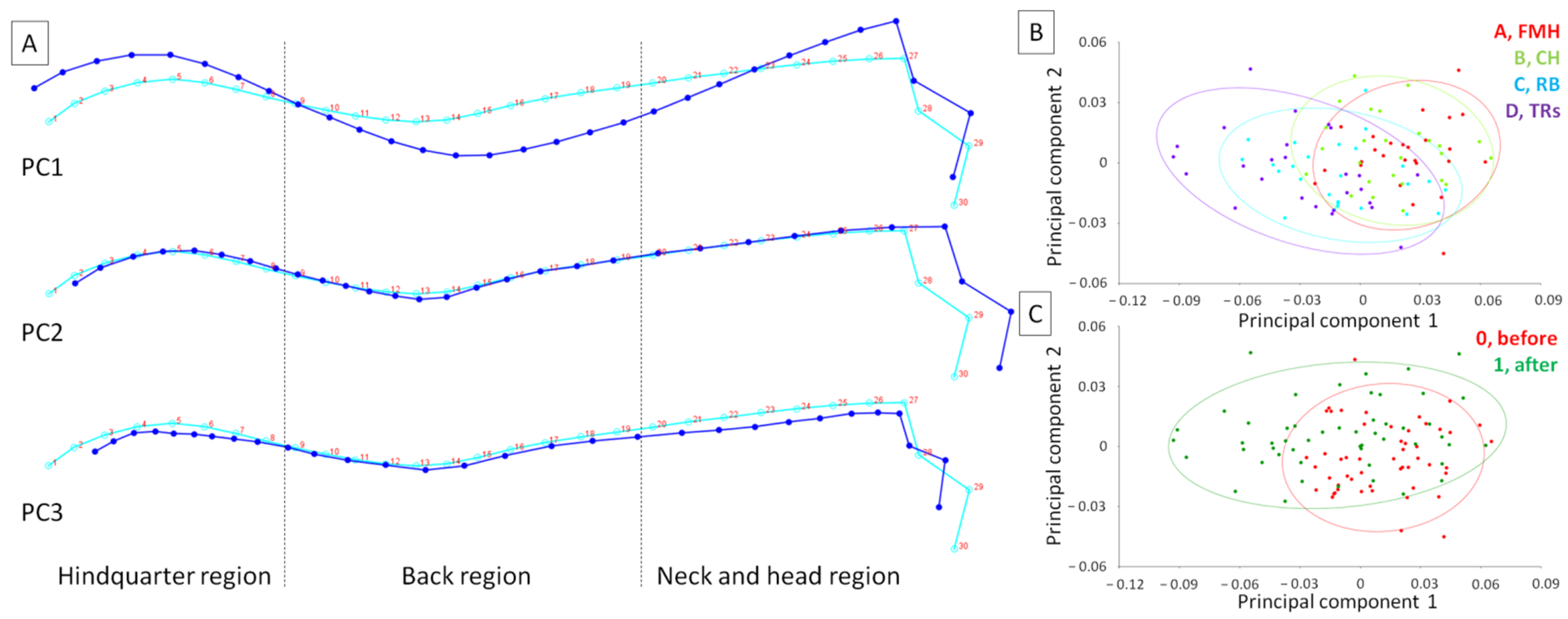 Animals 14 00022 g002
