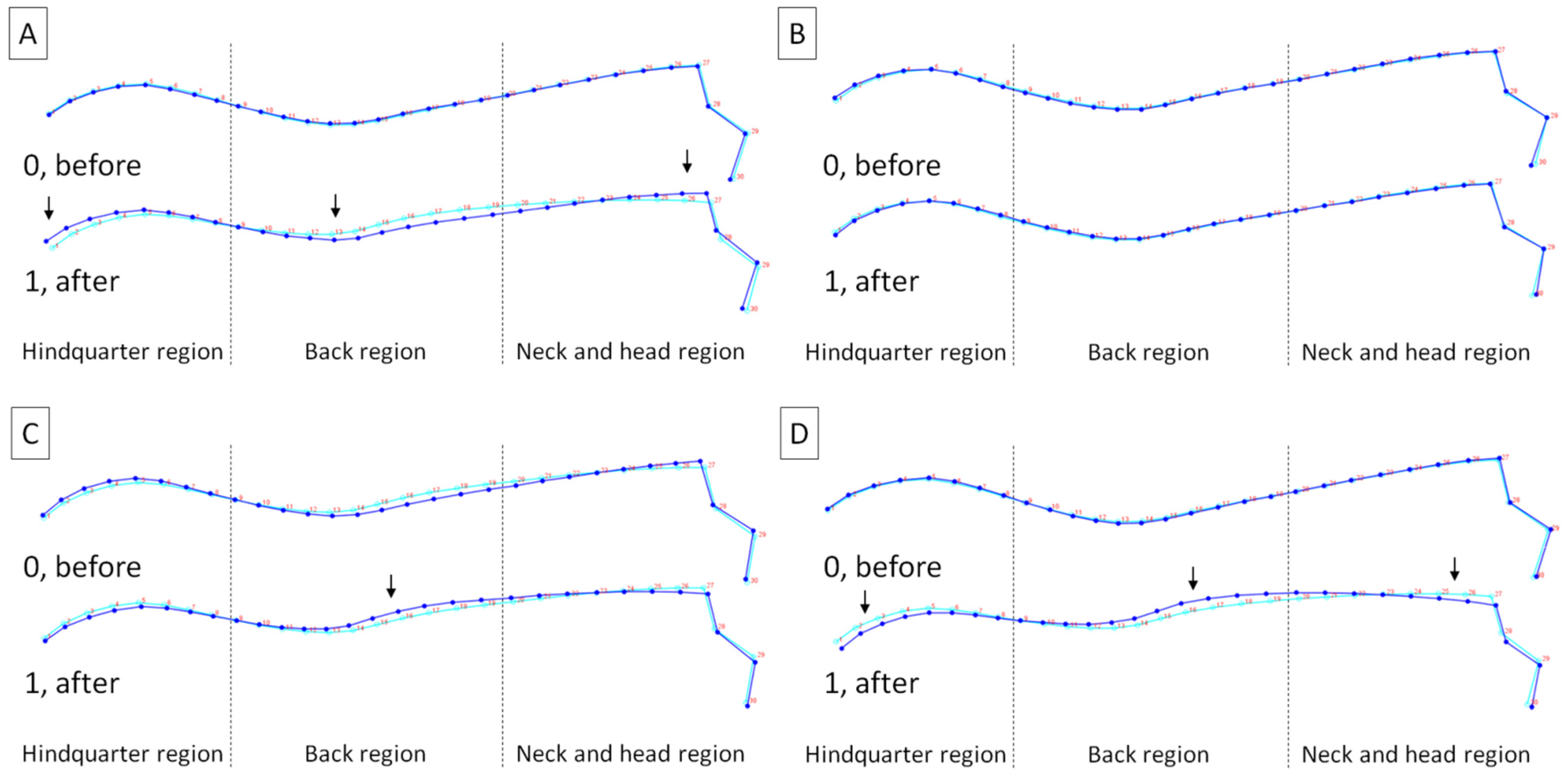 Animals 14 00022 g003