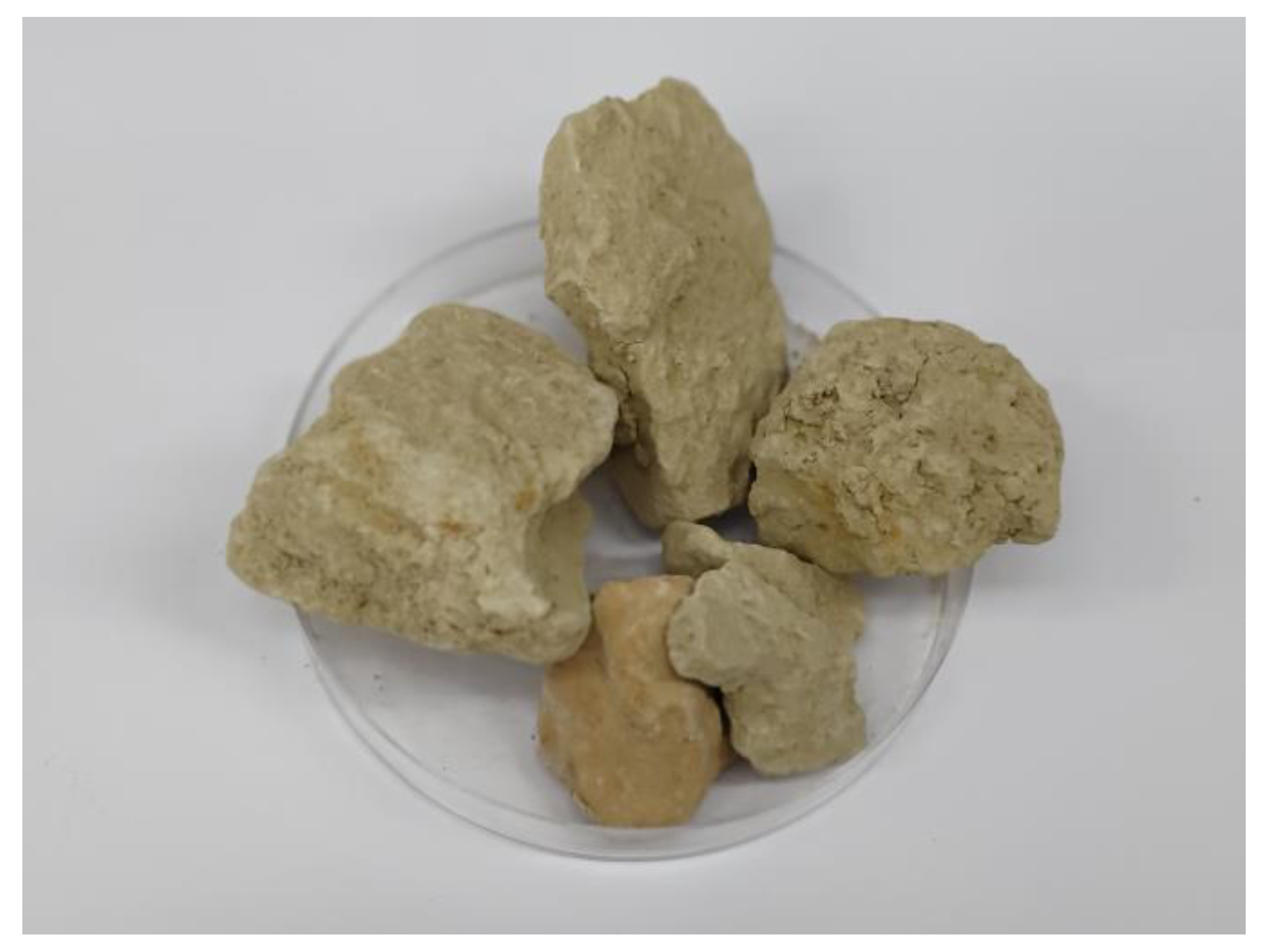 Animals 14 00024 g001