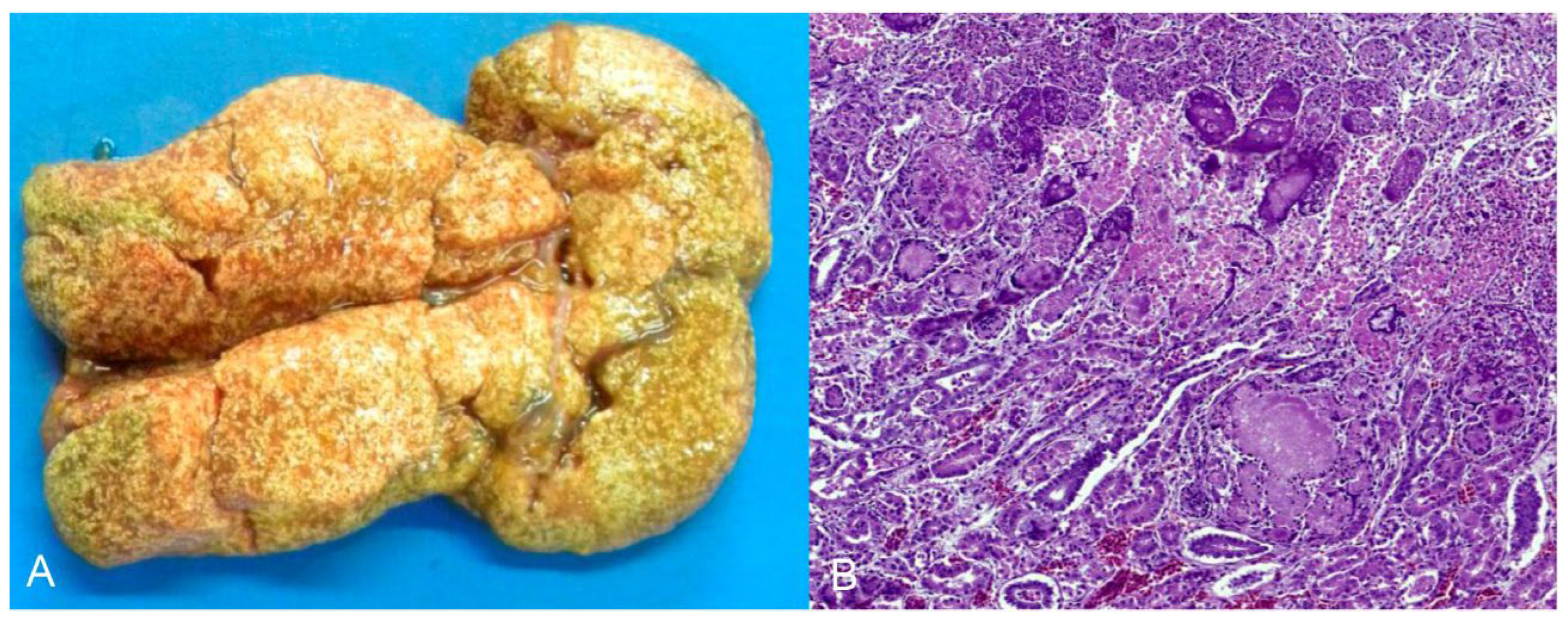 Animals 14 00025 g005