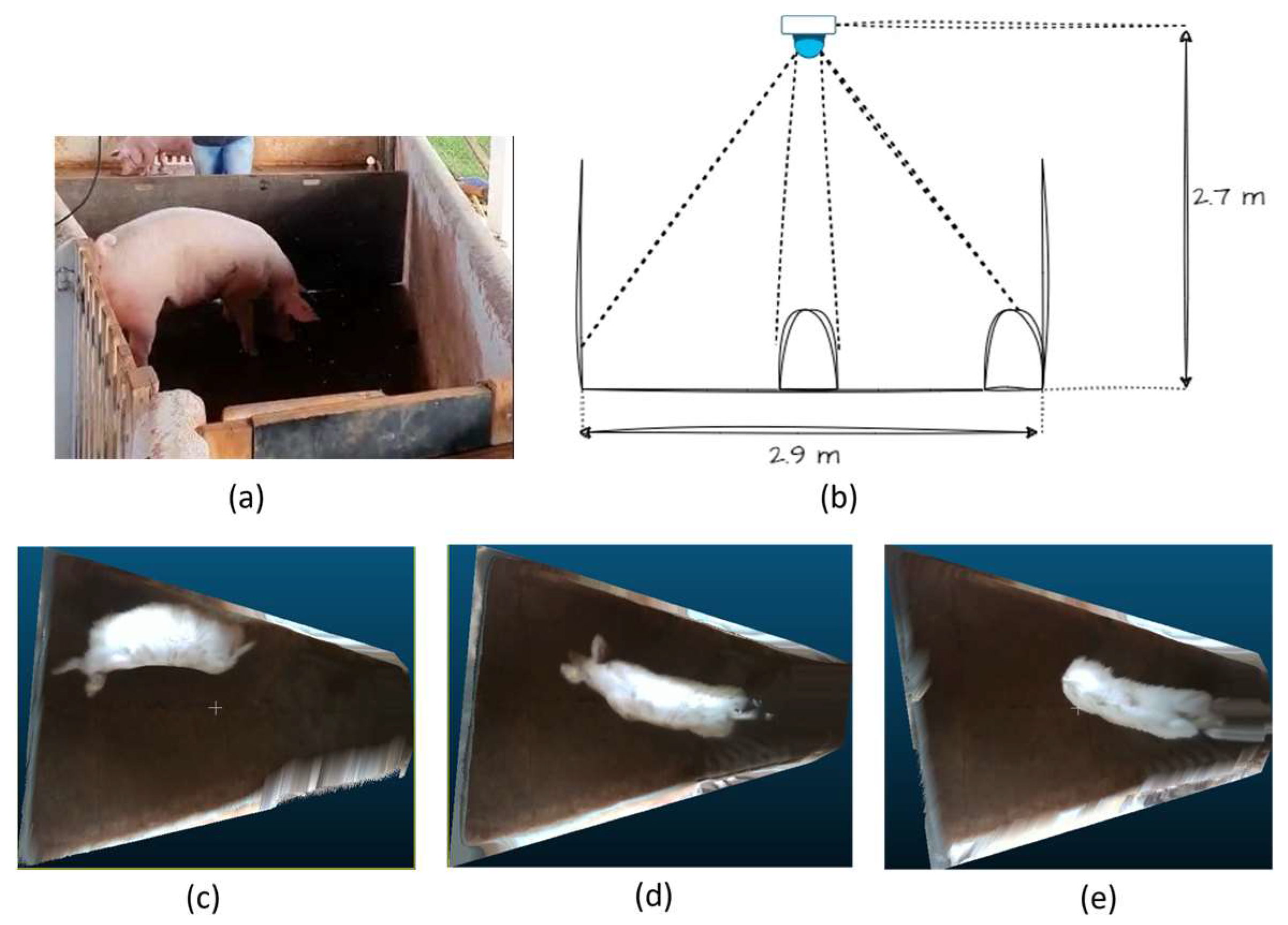 Animals 14 00031 g001