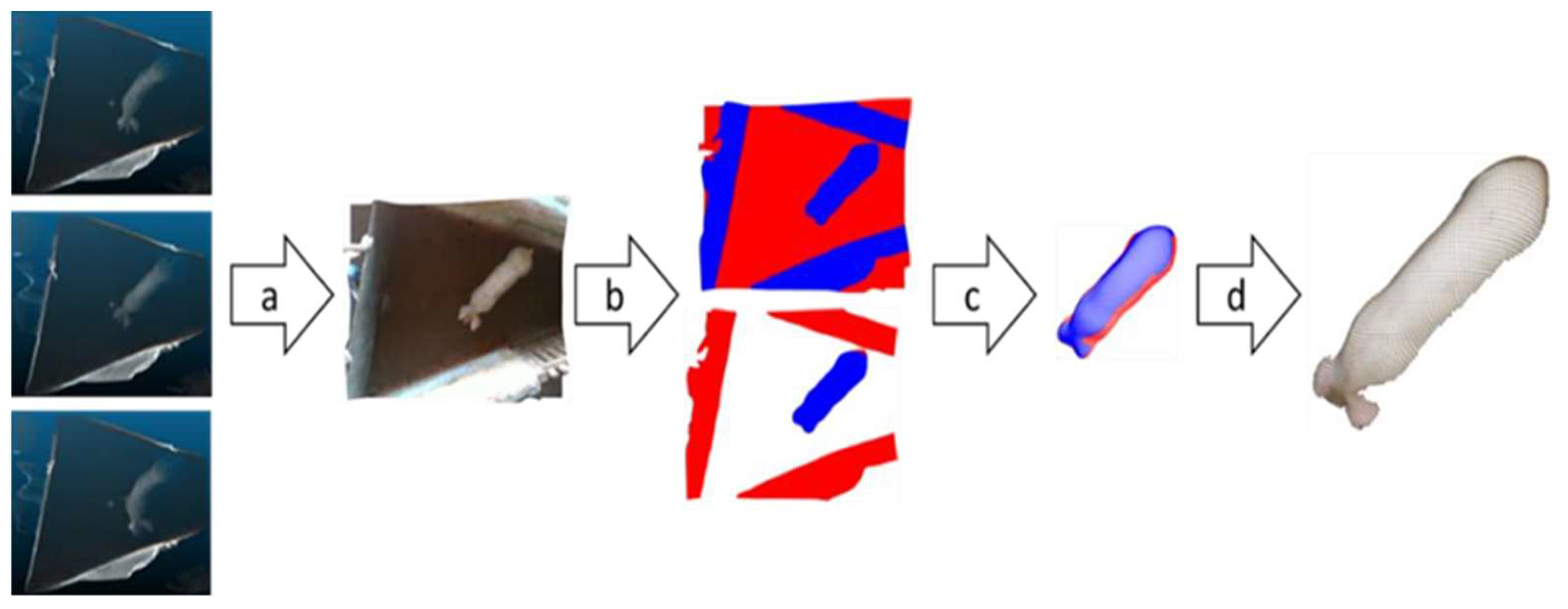 Animals 14 00031 g002