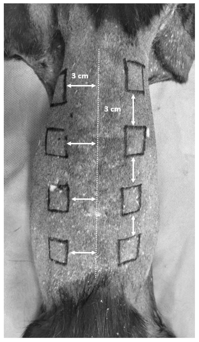 Animals 14 00036 g001