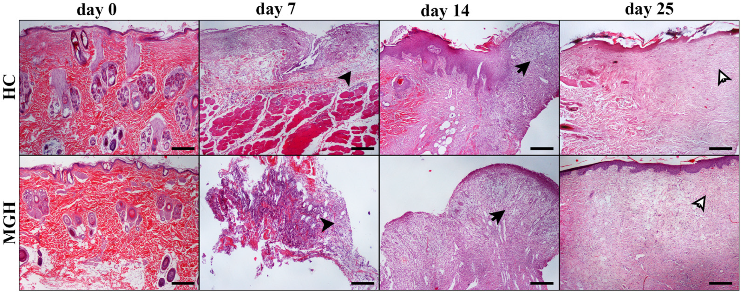 Animals 14 00036 g007