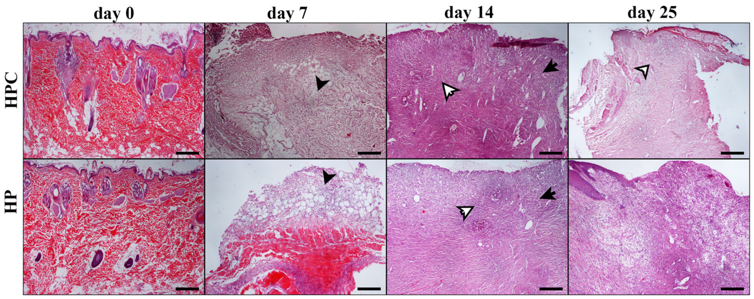 Animals 14 00036 g008