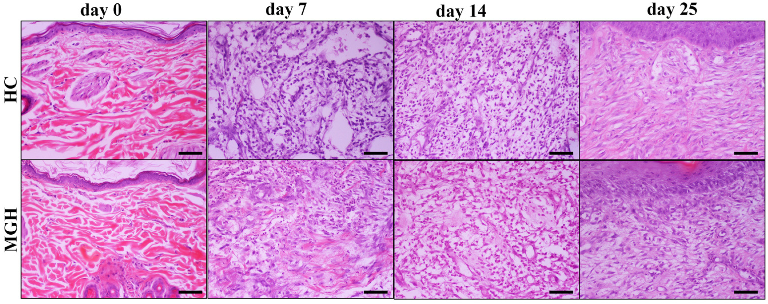 Animals 14 00036 g009