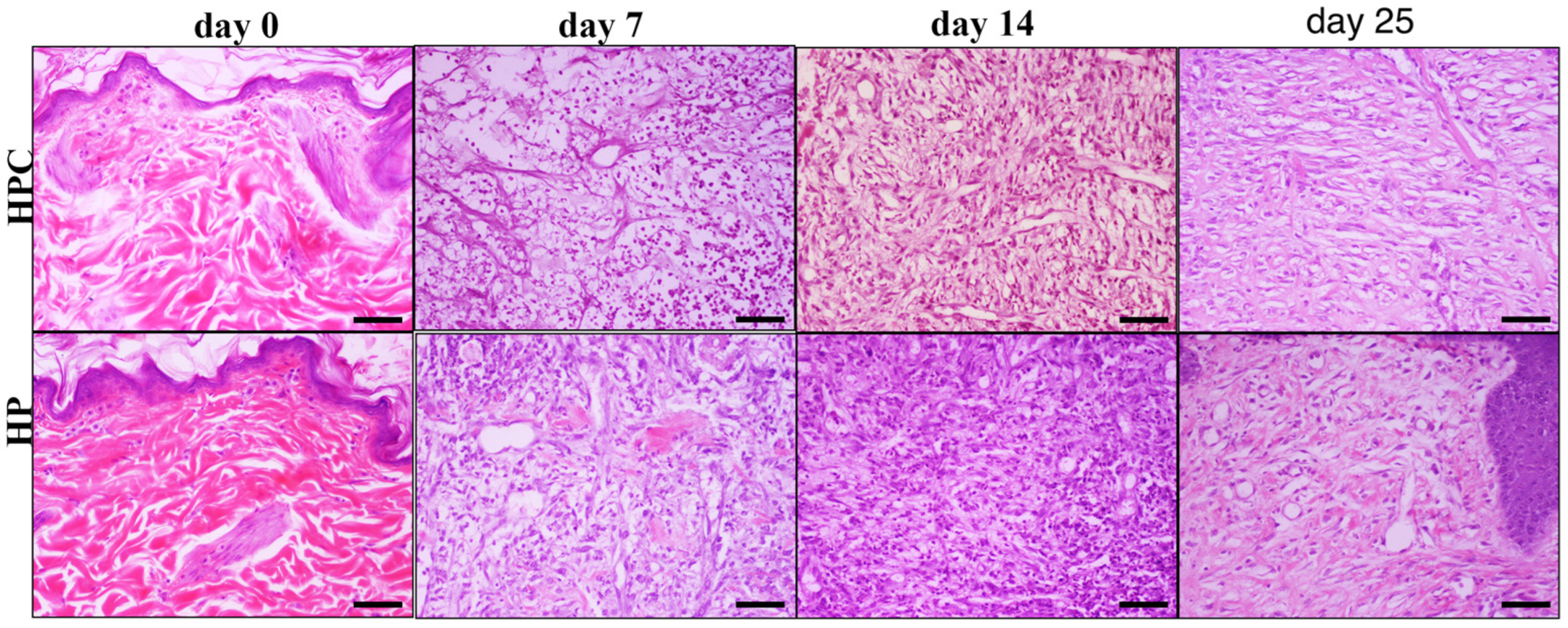 Animals 14 00036 g010