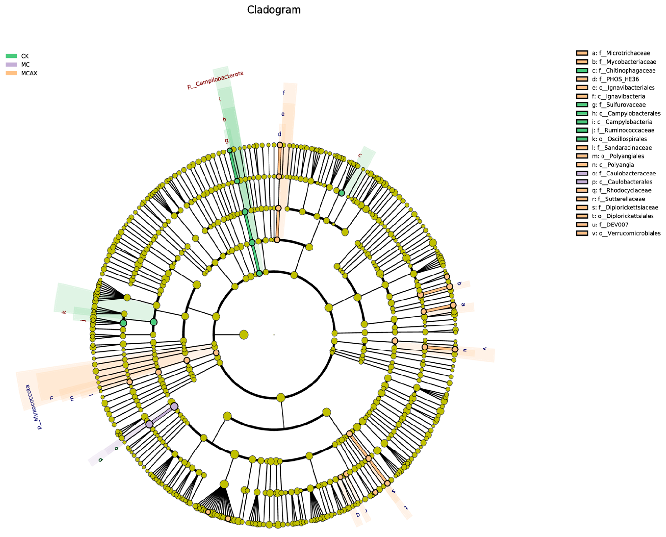 Animals 14 00058 g006