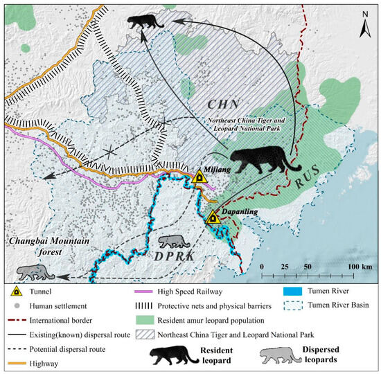 Animals 14 00059 g001