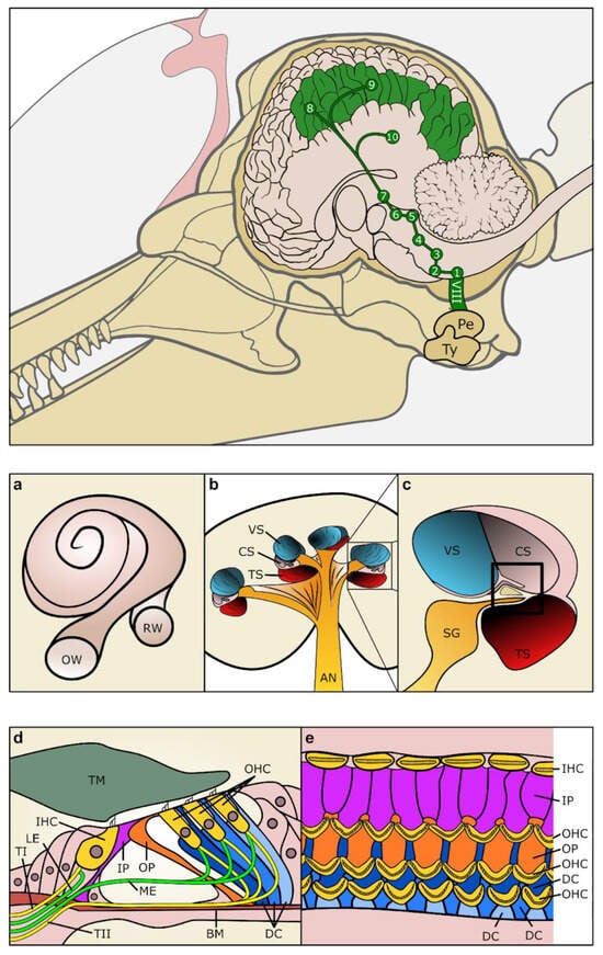 Animals 14 00066 g002
