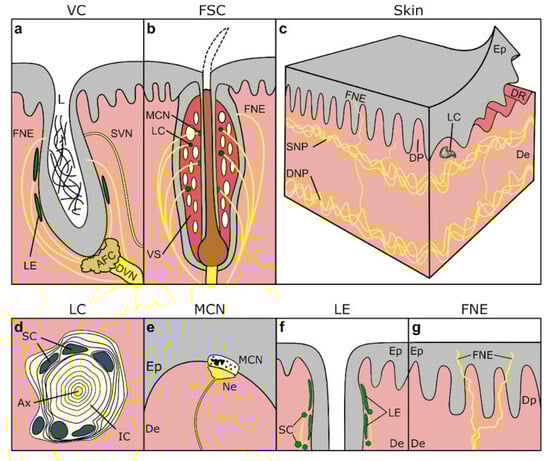 Animals 14 00066 g003b