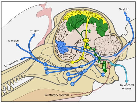 Animals 14 00066 g004