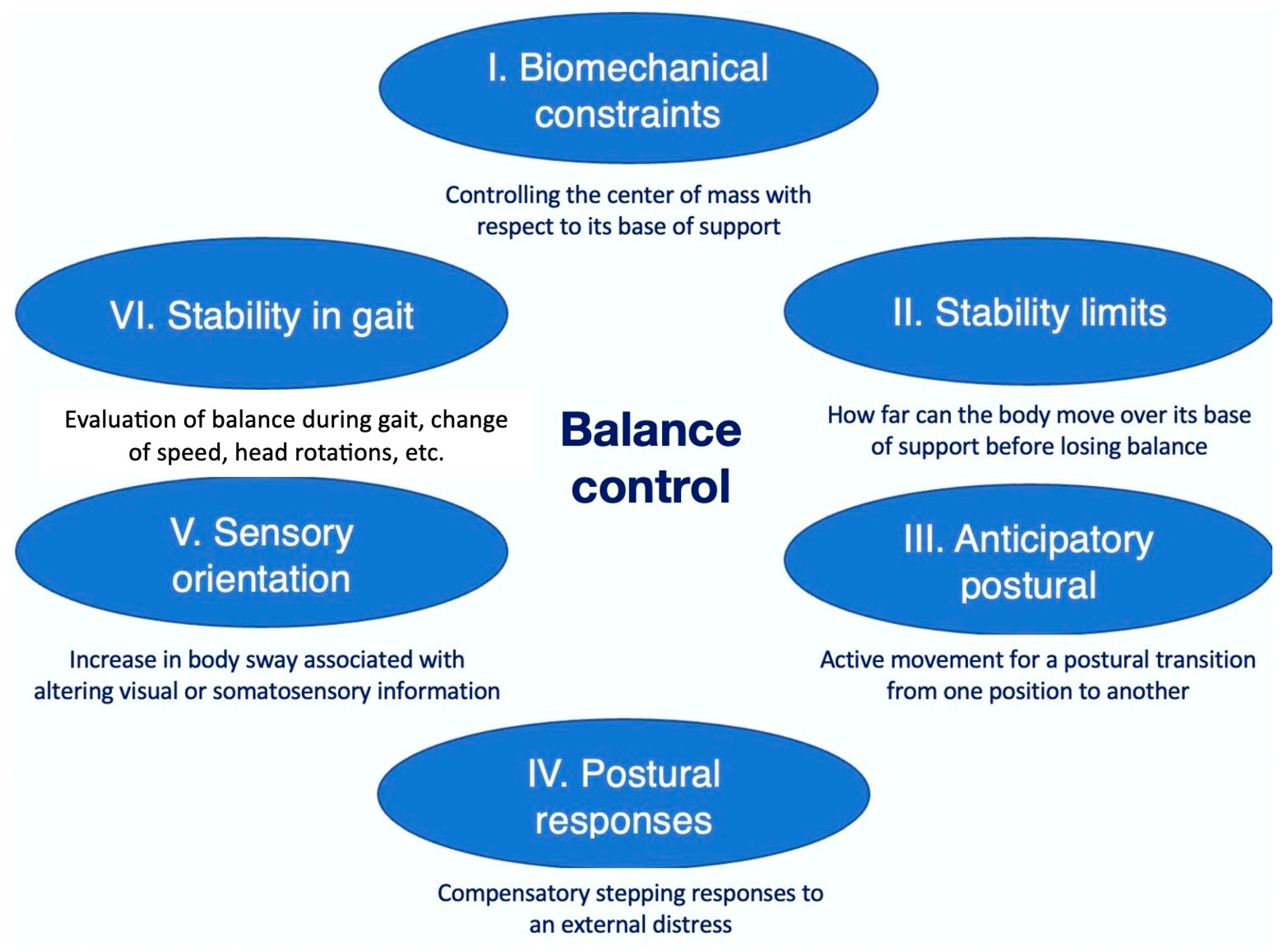 Animals 14 00092 g001