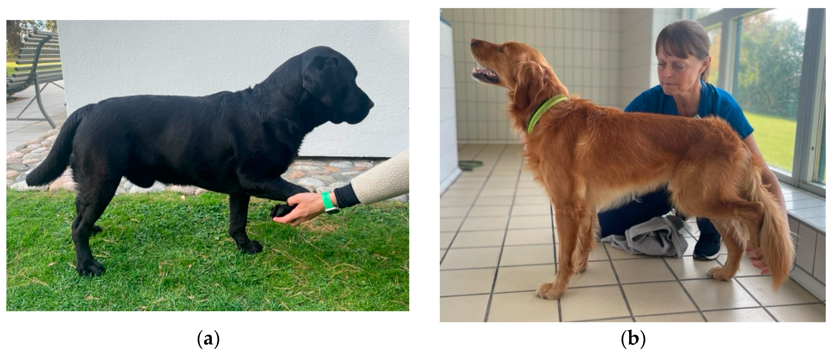 Animals 14 00092 g0a1