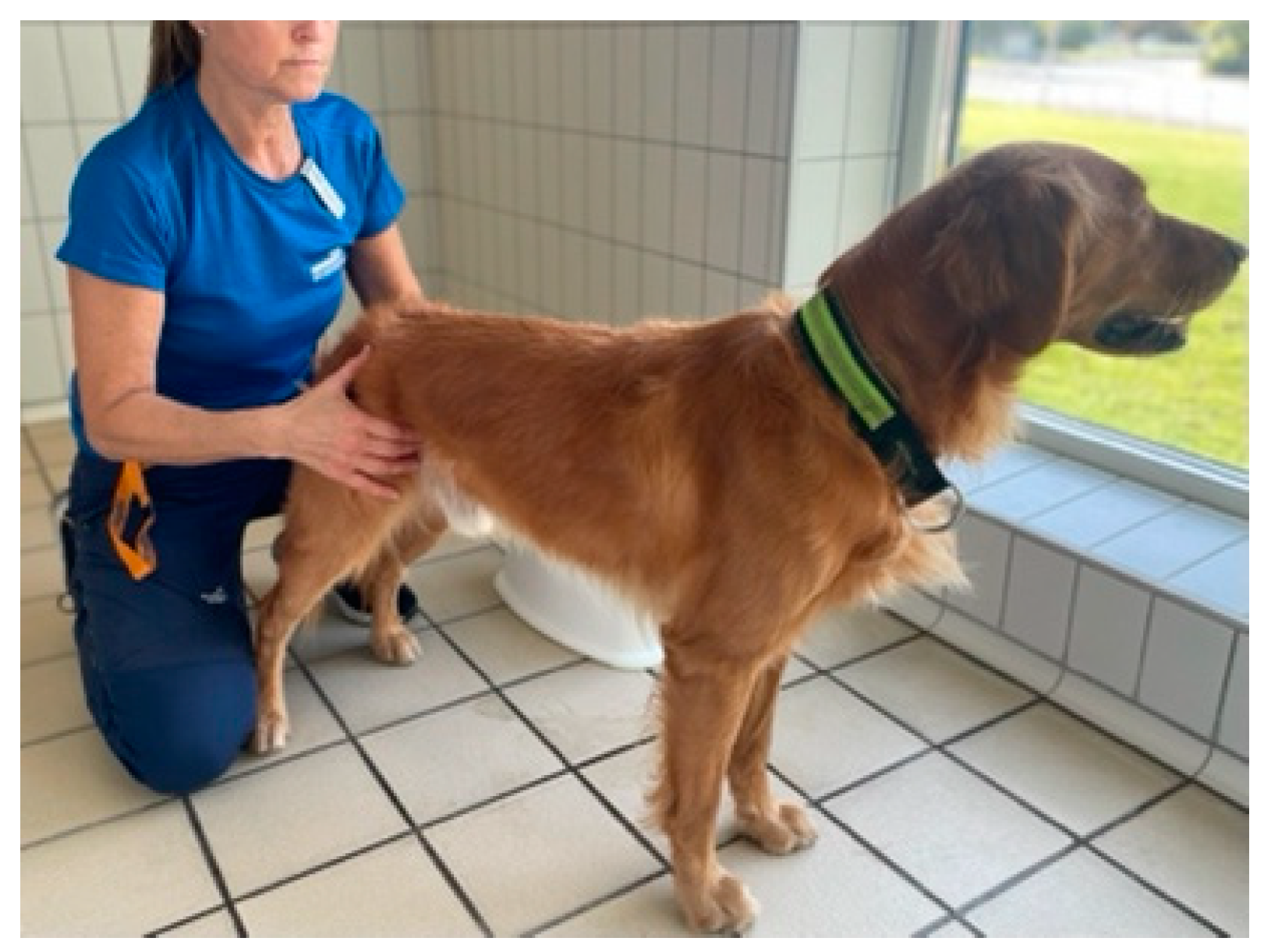 Animals 14 00092 g0a2