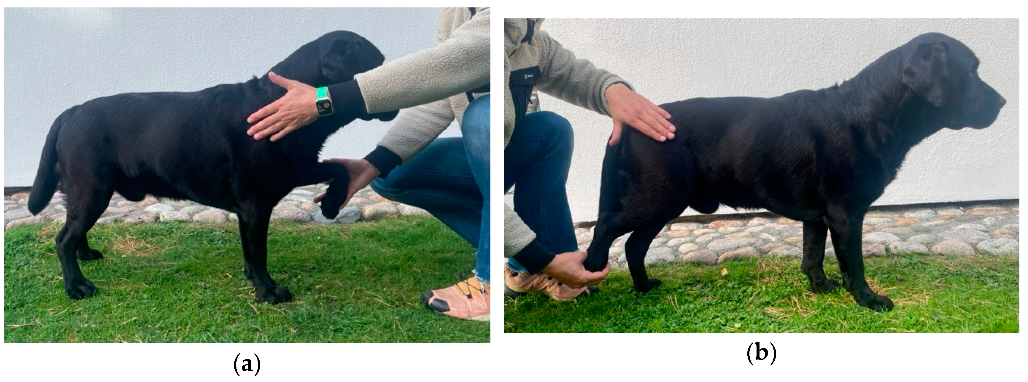 Animals 14 00092 g0a3