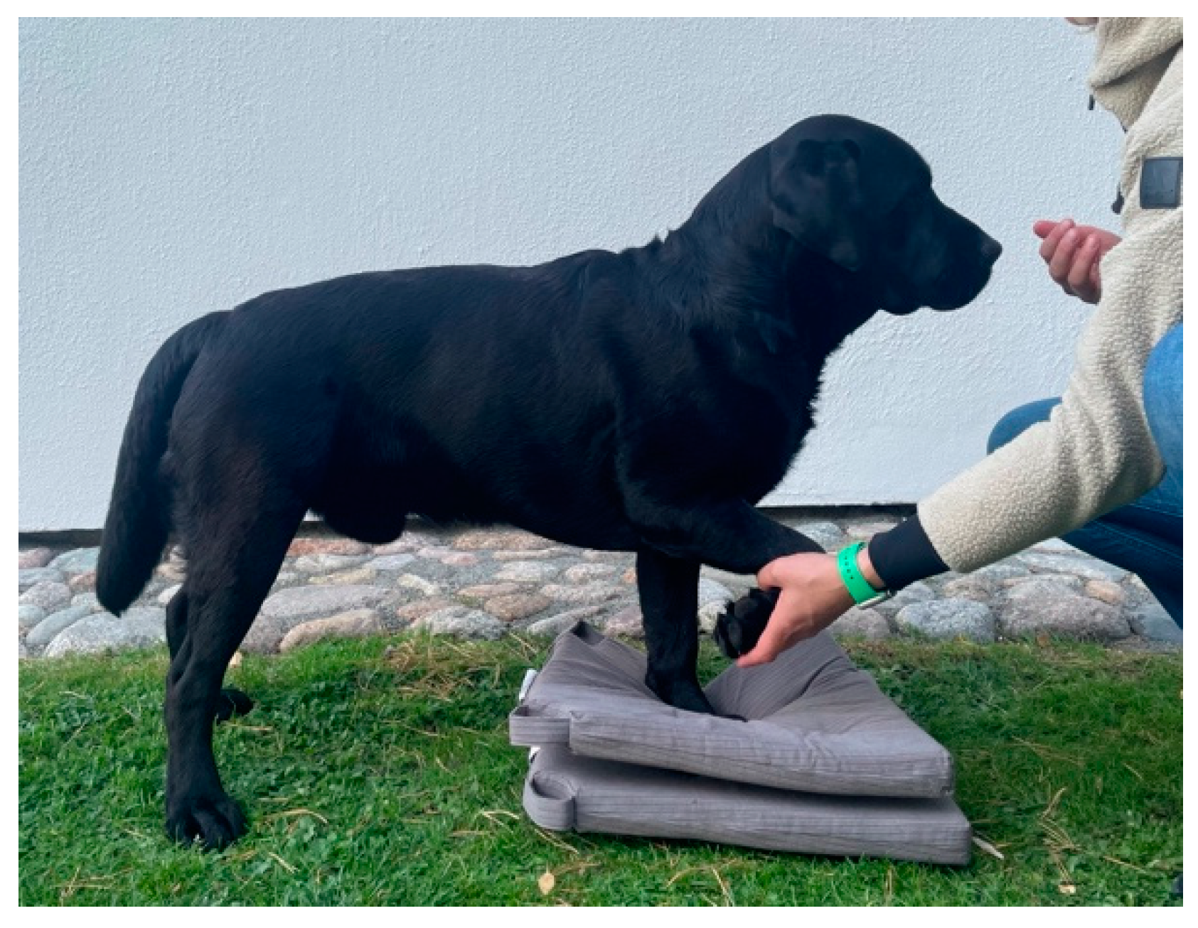 Animals 14 00092 g0a5