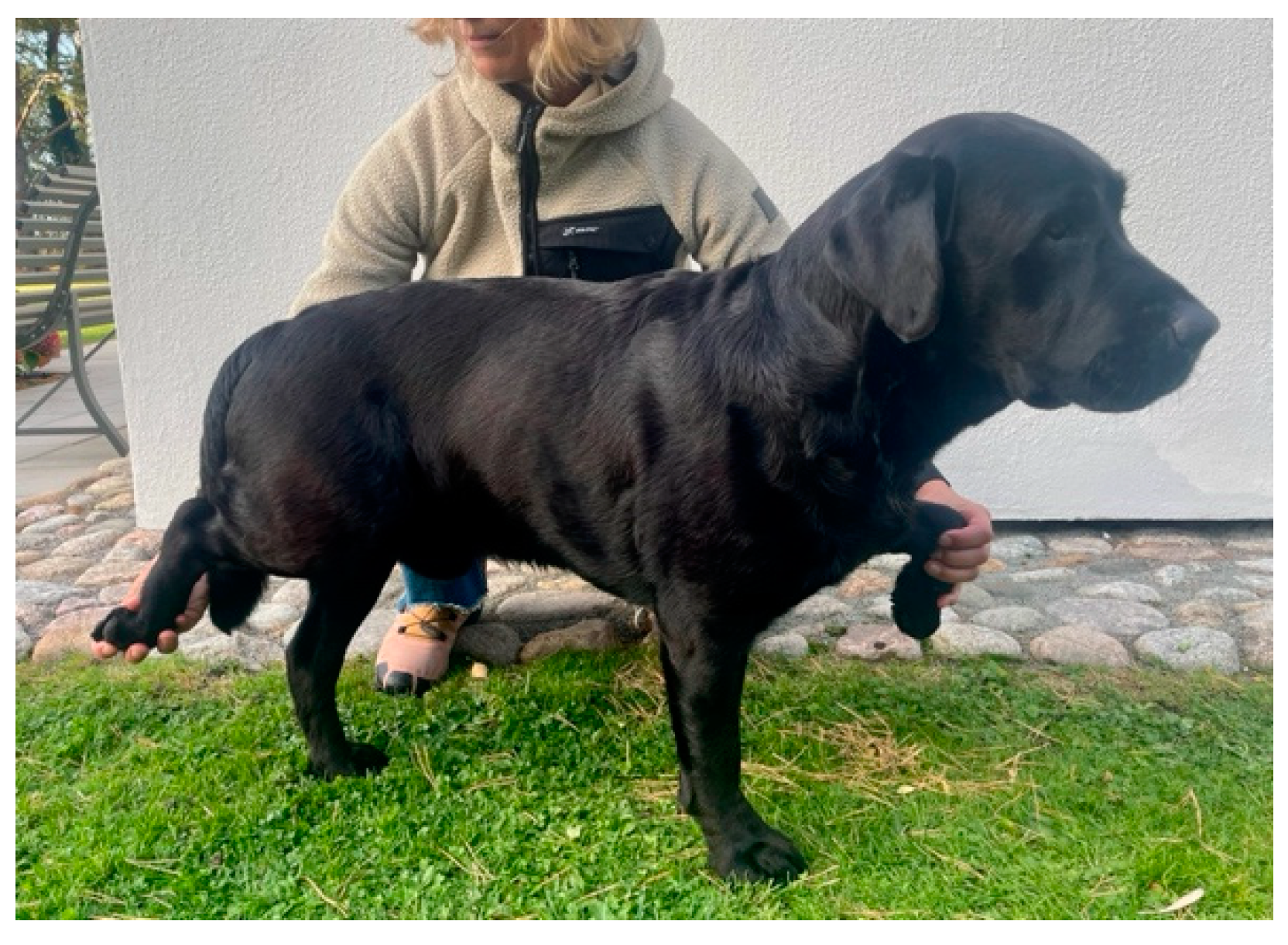 Animals 14 00092 g0a6