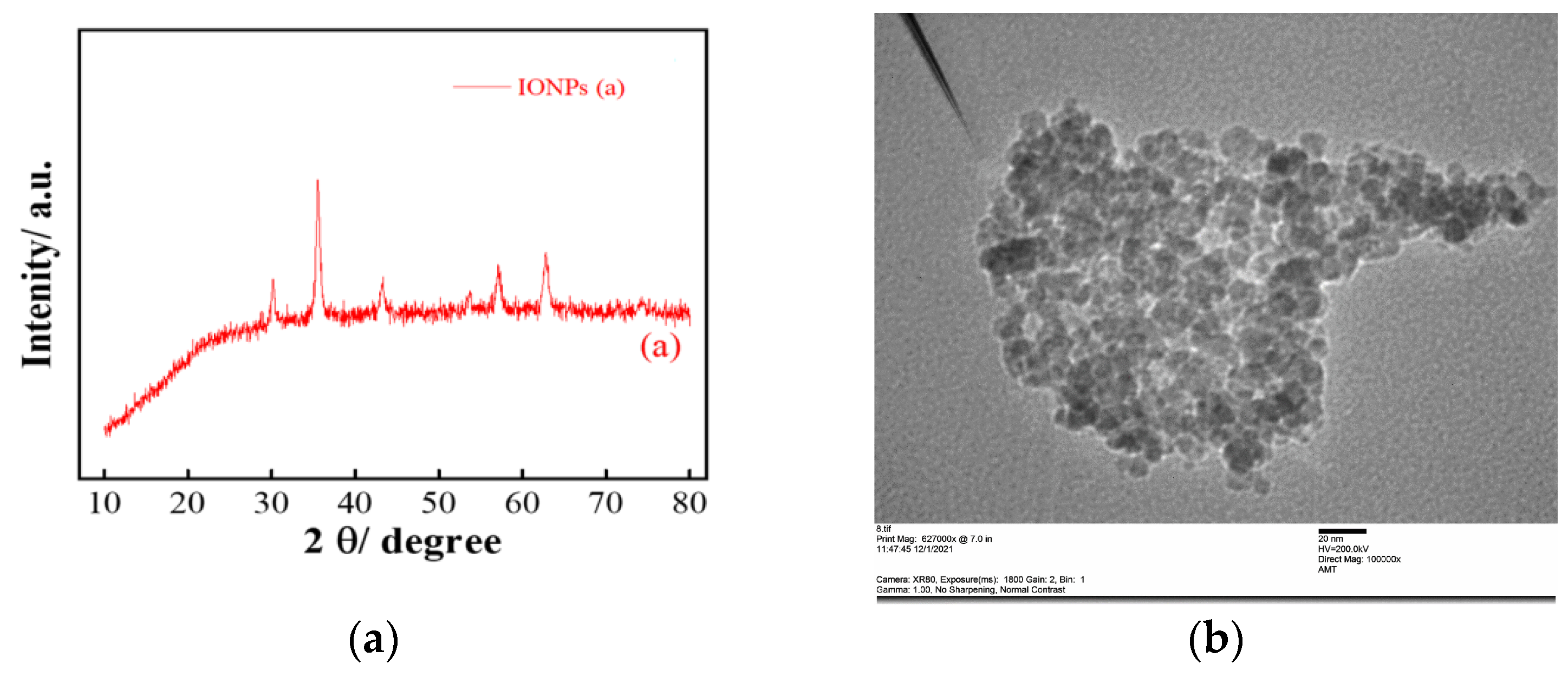 Animals 14 00099 g001