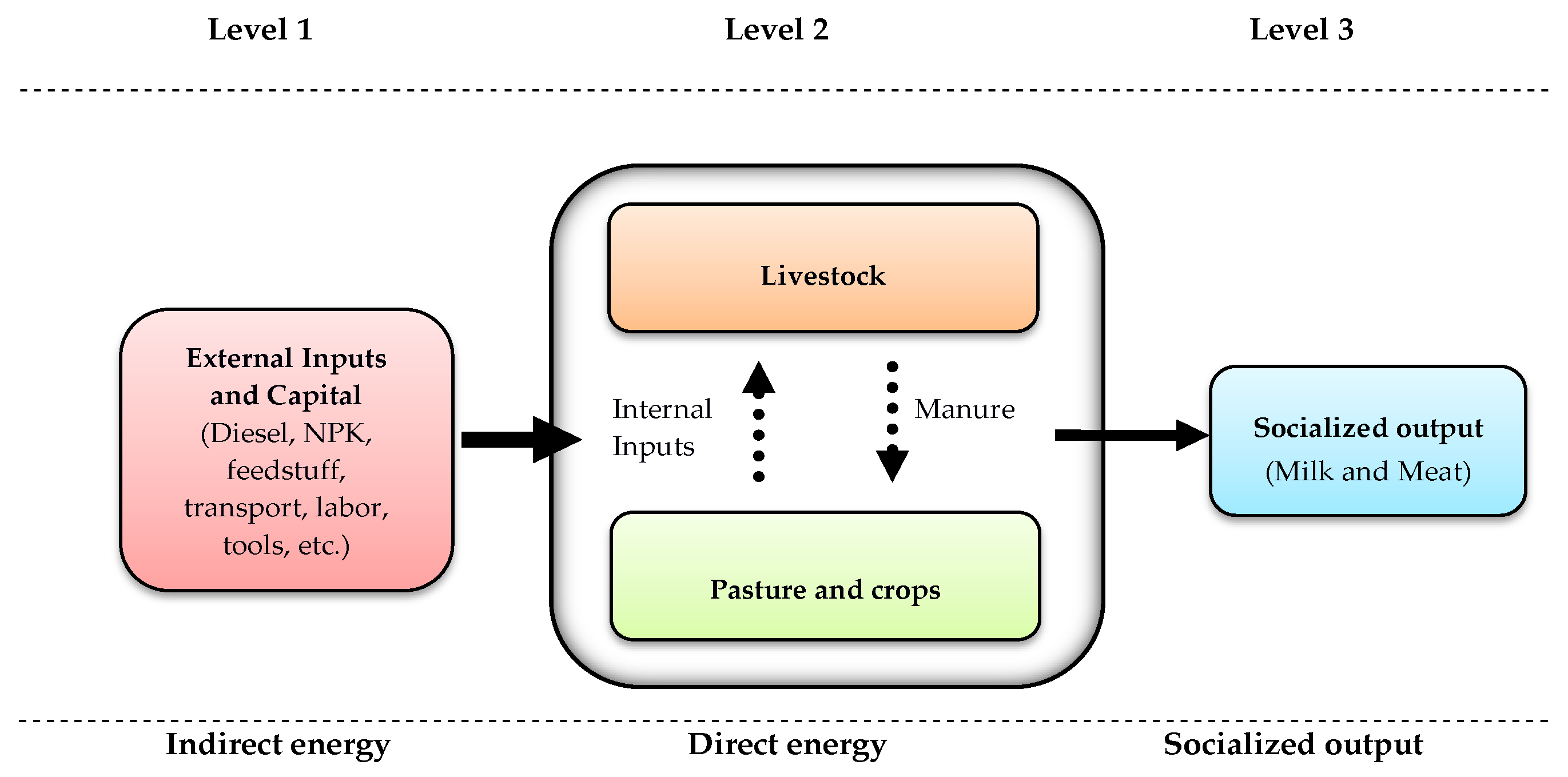 Animals 14 00104 g001