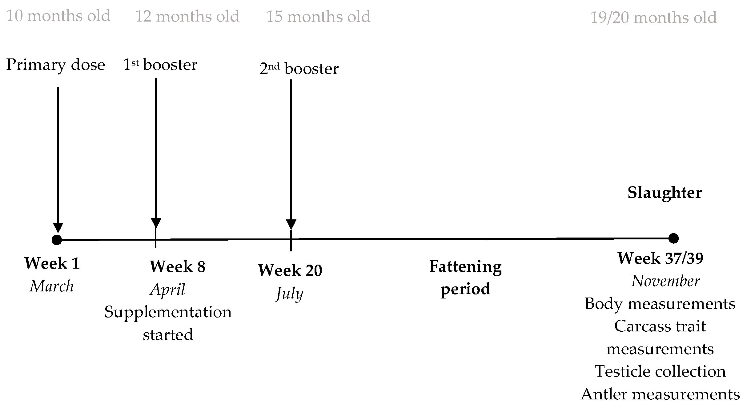 Animals 14 00115 g001