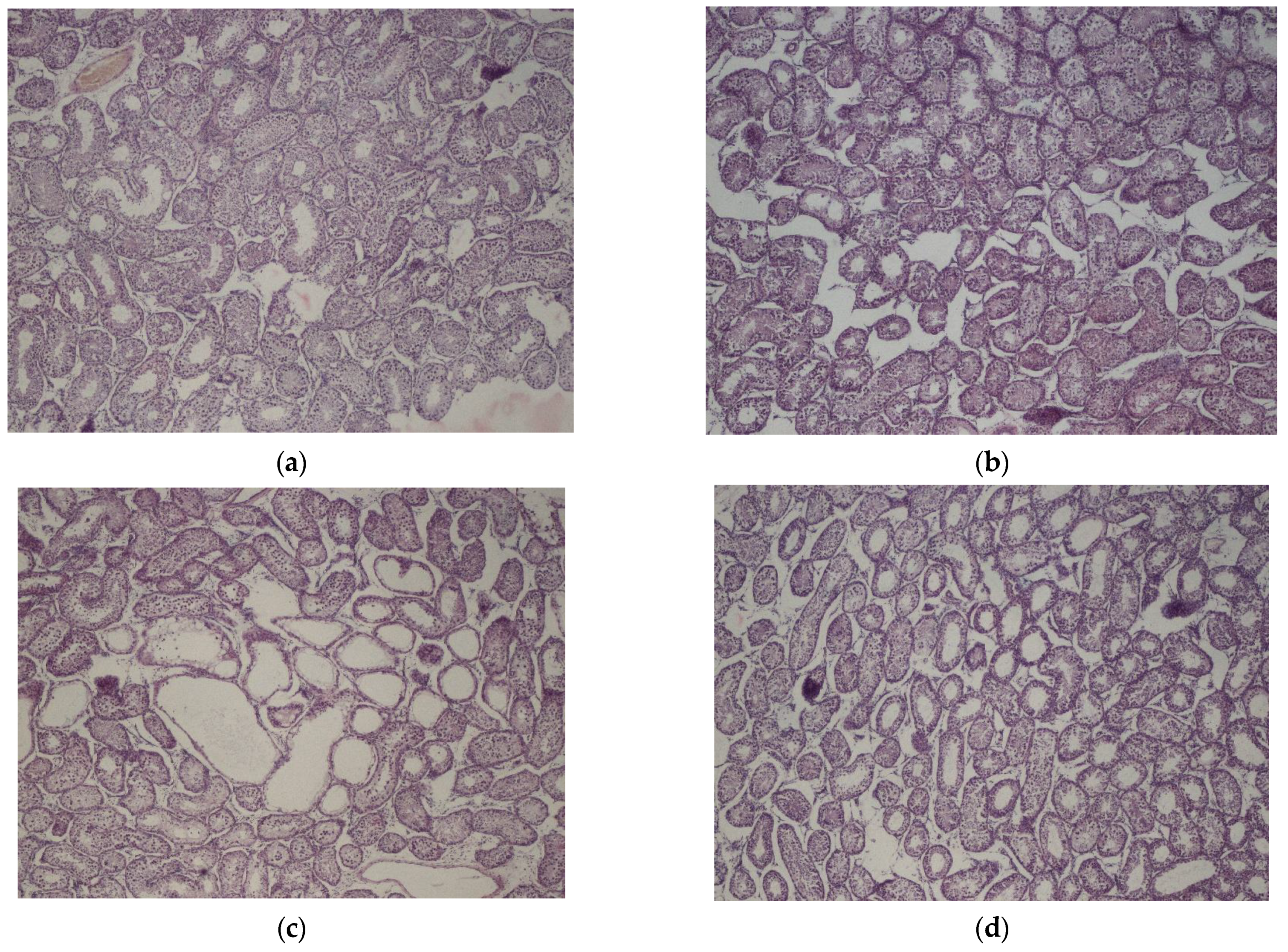 Animals 14 00115 g002