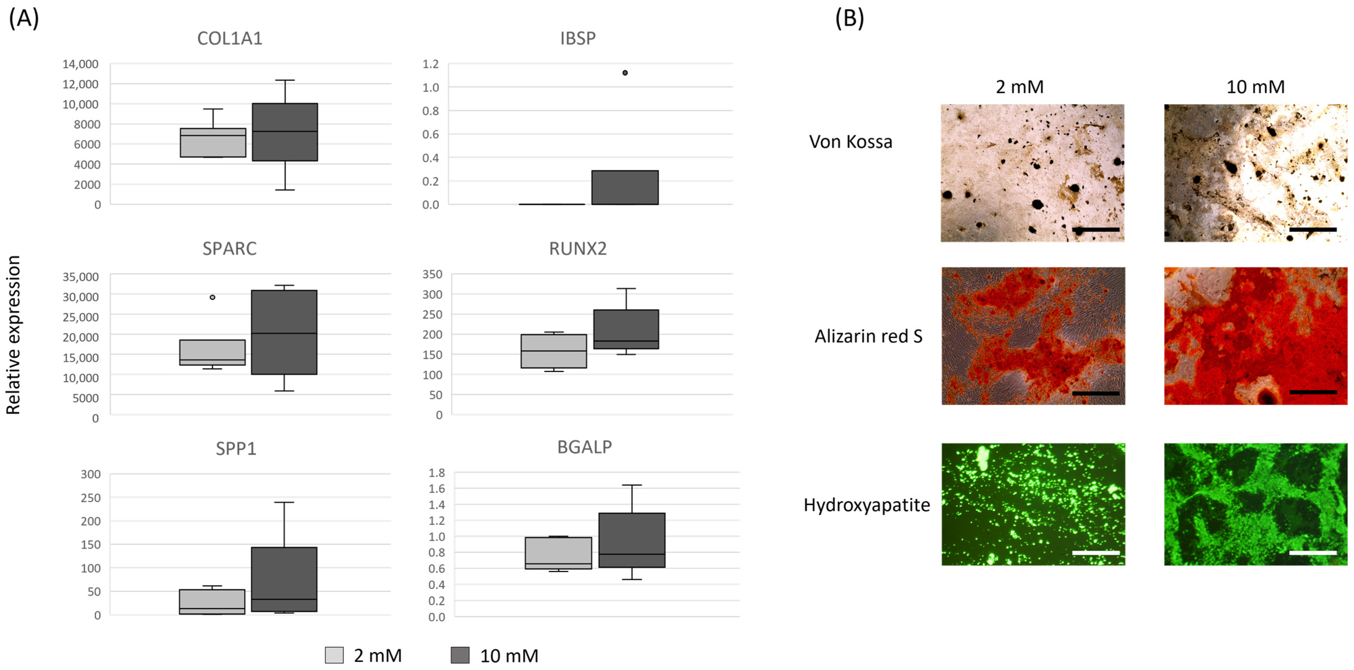 Animals 14 00116 g003