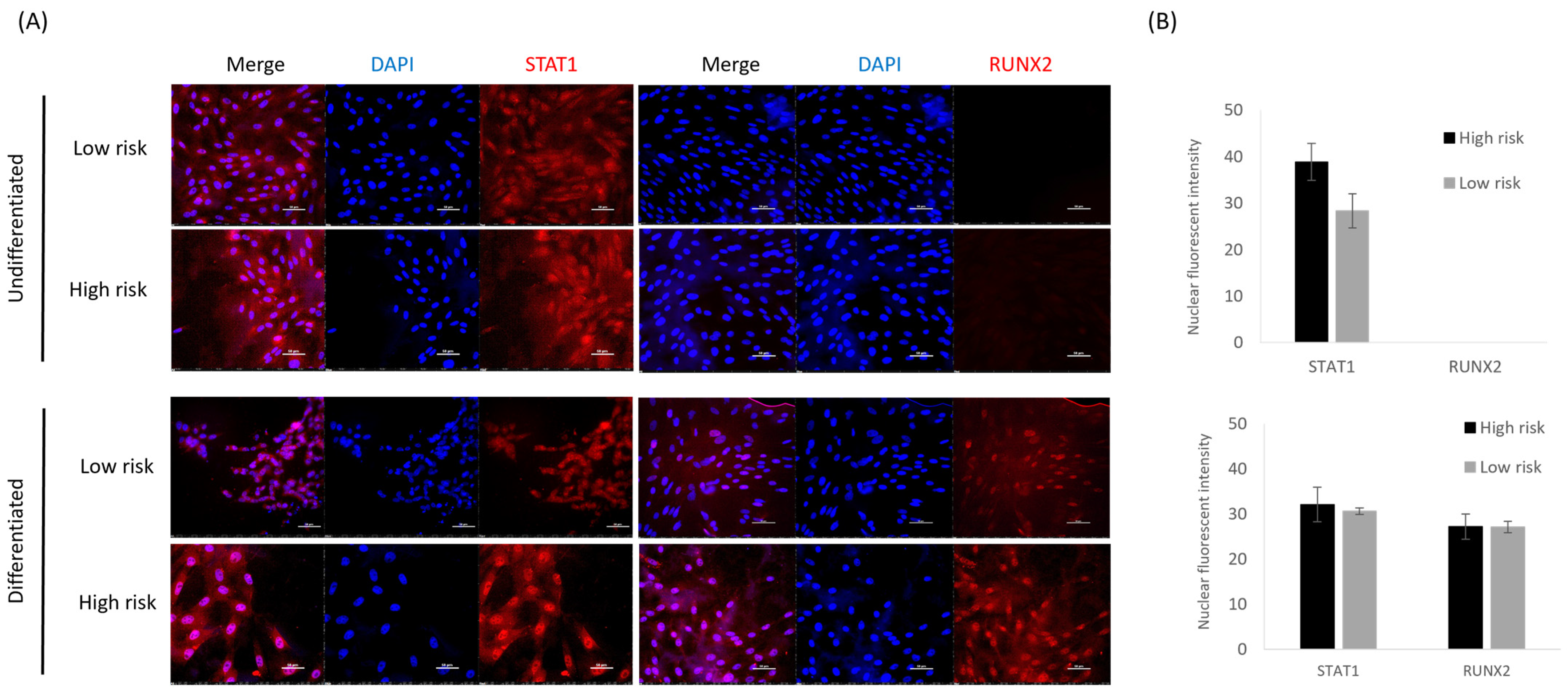 Animals 14 00116 g005