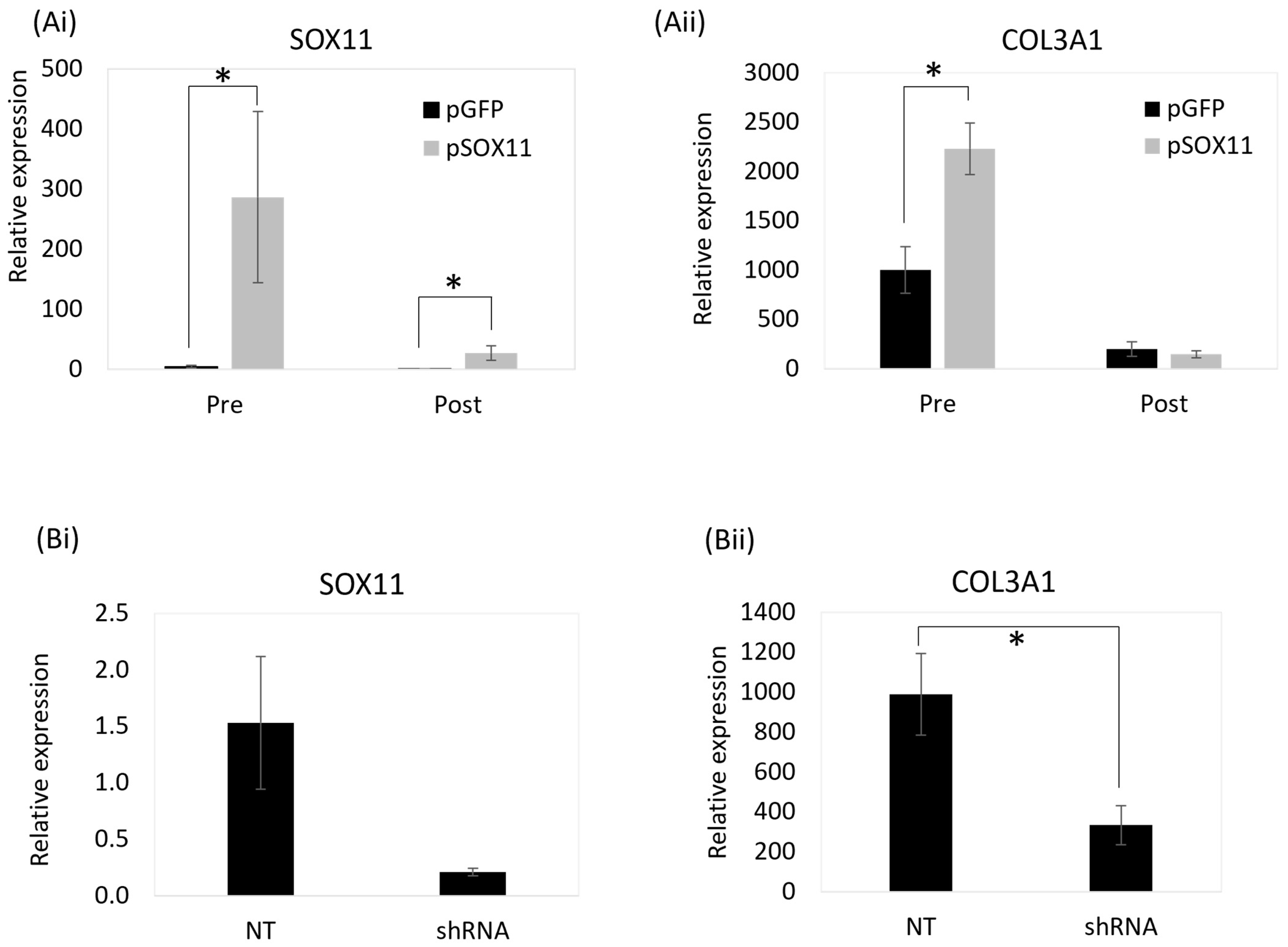 Animals 14 00116 g008