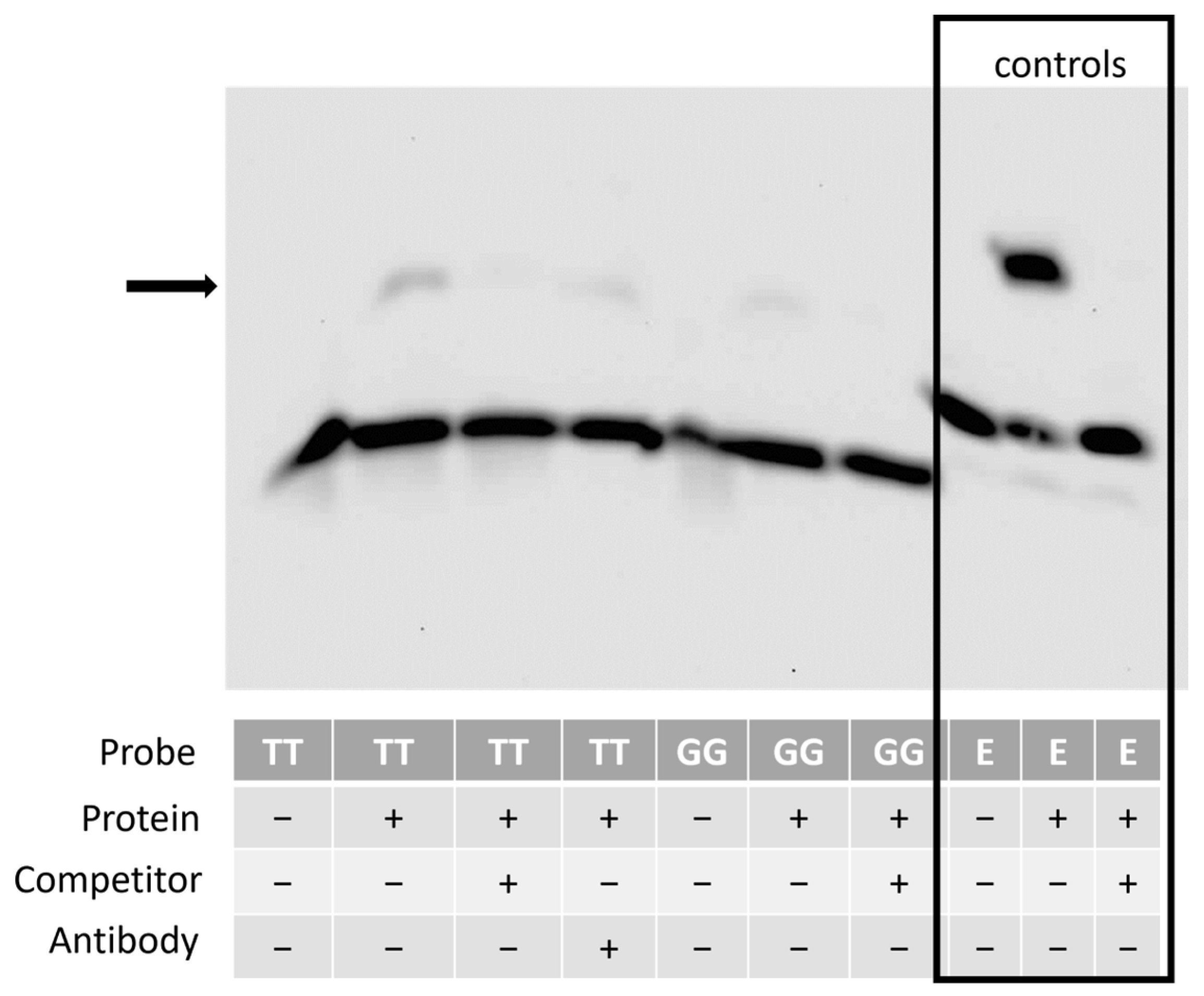 Animals 14 00116 g009
