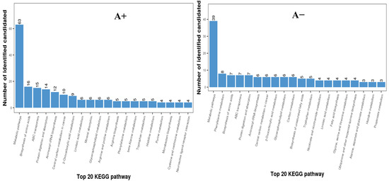 Animals 14 00121 g002